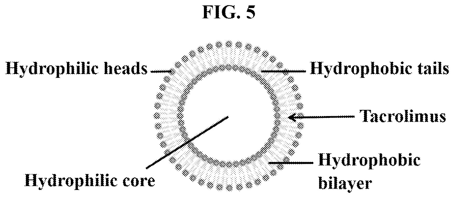 Patent US12564577 Figure 3 – Nanoliposomes for sustained delivery of tacrolimus for treatment of anterior segment eye diseases