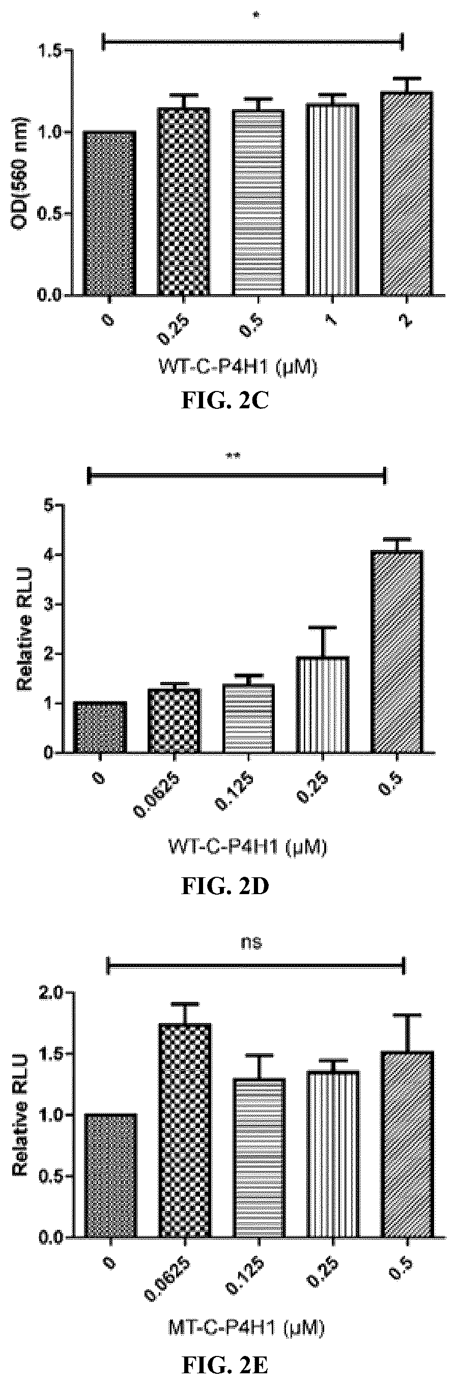 Patent US12564578 Figure 5 – Collagen P4H1 inhibitor and its use