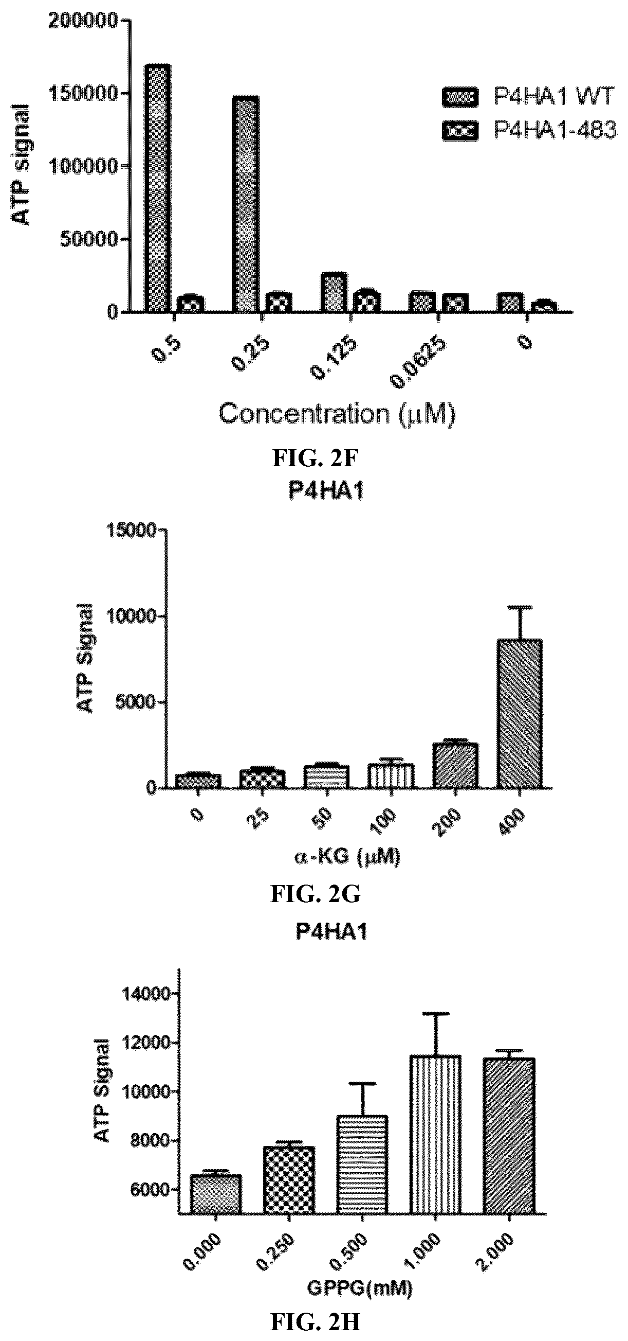Patent US12564578 Figure 6 – Collagen P4H1 inhibitor and its use