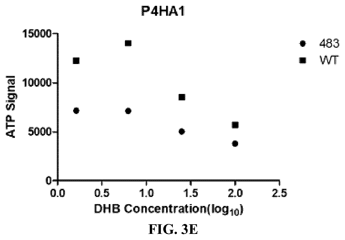 Patent US12564578 Figure 8 – Collagen P4H1 inhibitor and its use