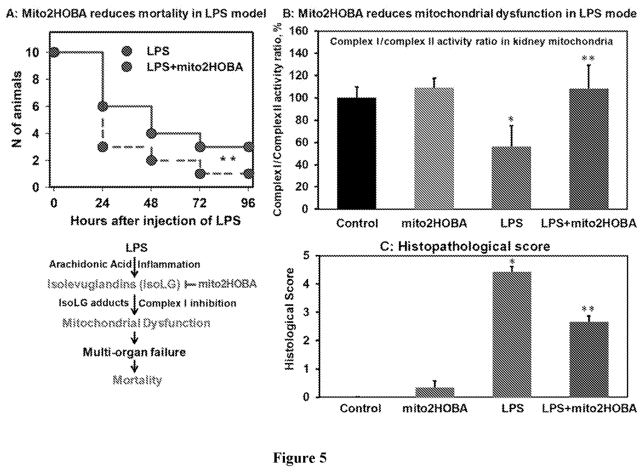 Patent US12564580 Figure 5 – Mitochondria-targeted isoketal/isolevuglandin scavengers and uses thereof