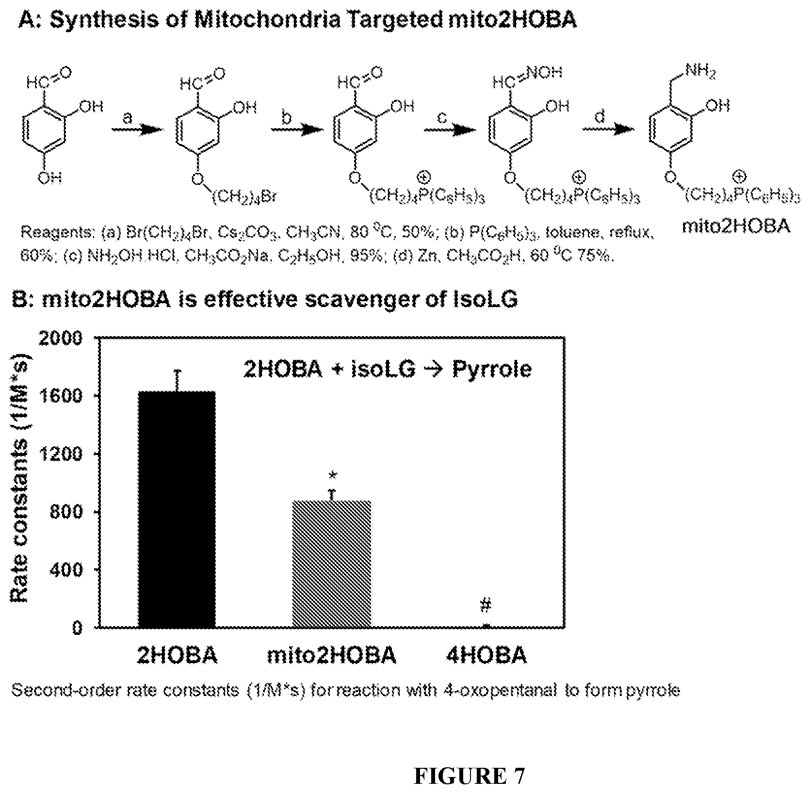 Patent US12564580 Figure 7 – Mitochondria-targeted isoketal/isolevuglandin scavengers and uses thereof