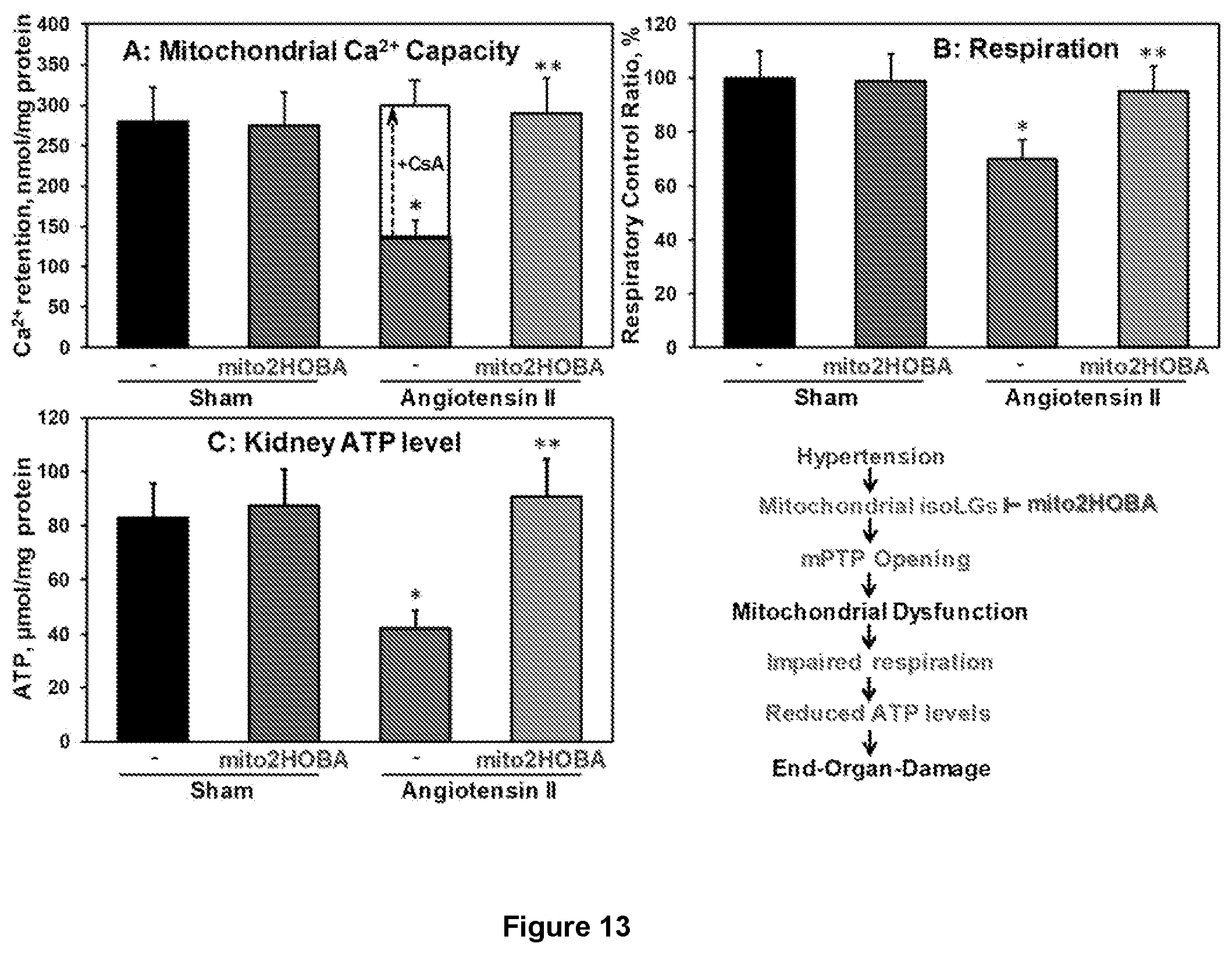 Patent US12564580 Figure 13 – Mitochondria-targeted isoketal/isolevuglandin scavengers and uses thereof