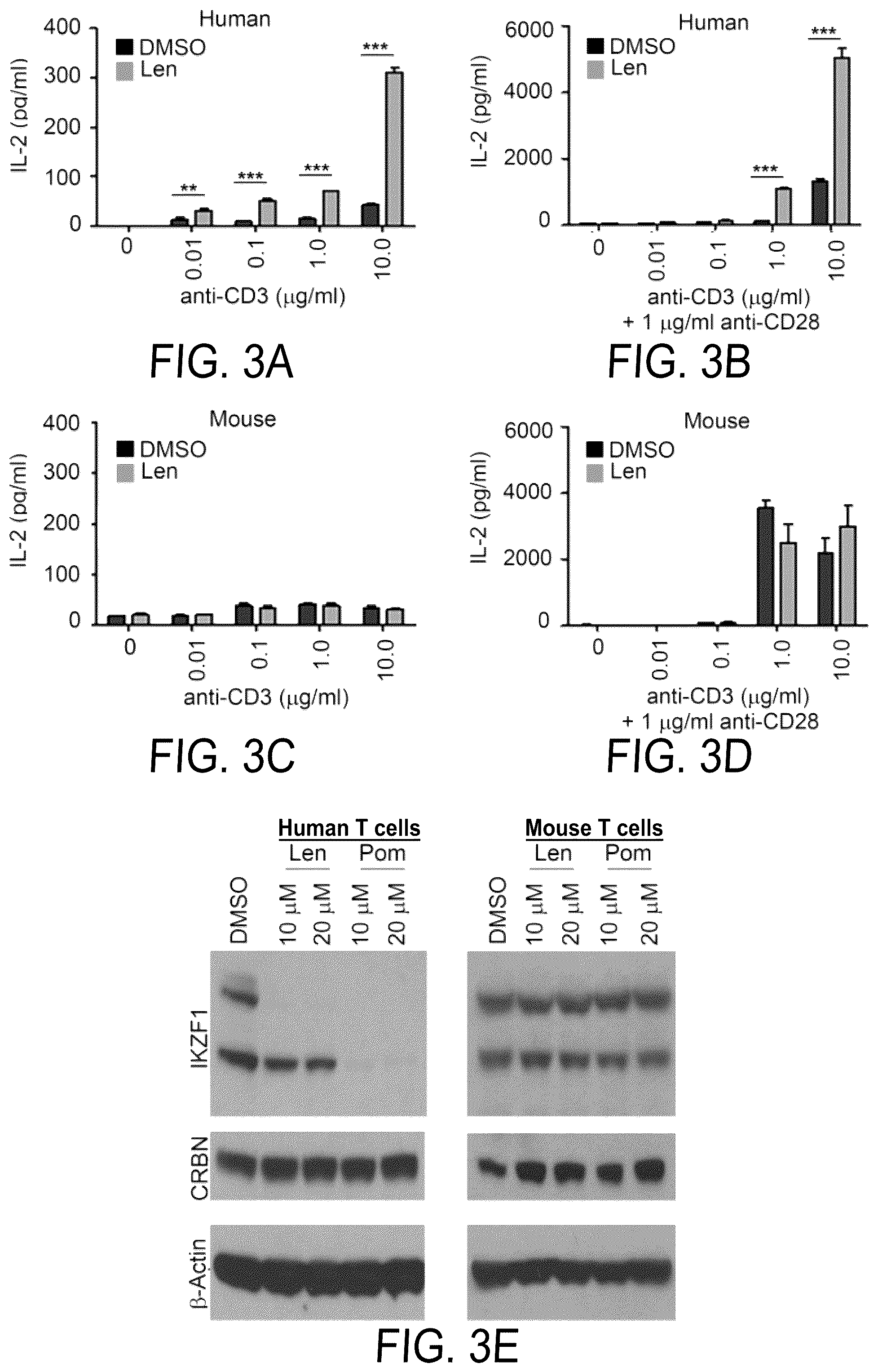 Patent US12564583 Figure 3 – Small molecules against cereblon to enhance effector T cell function