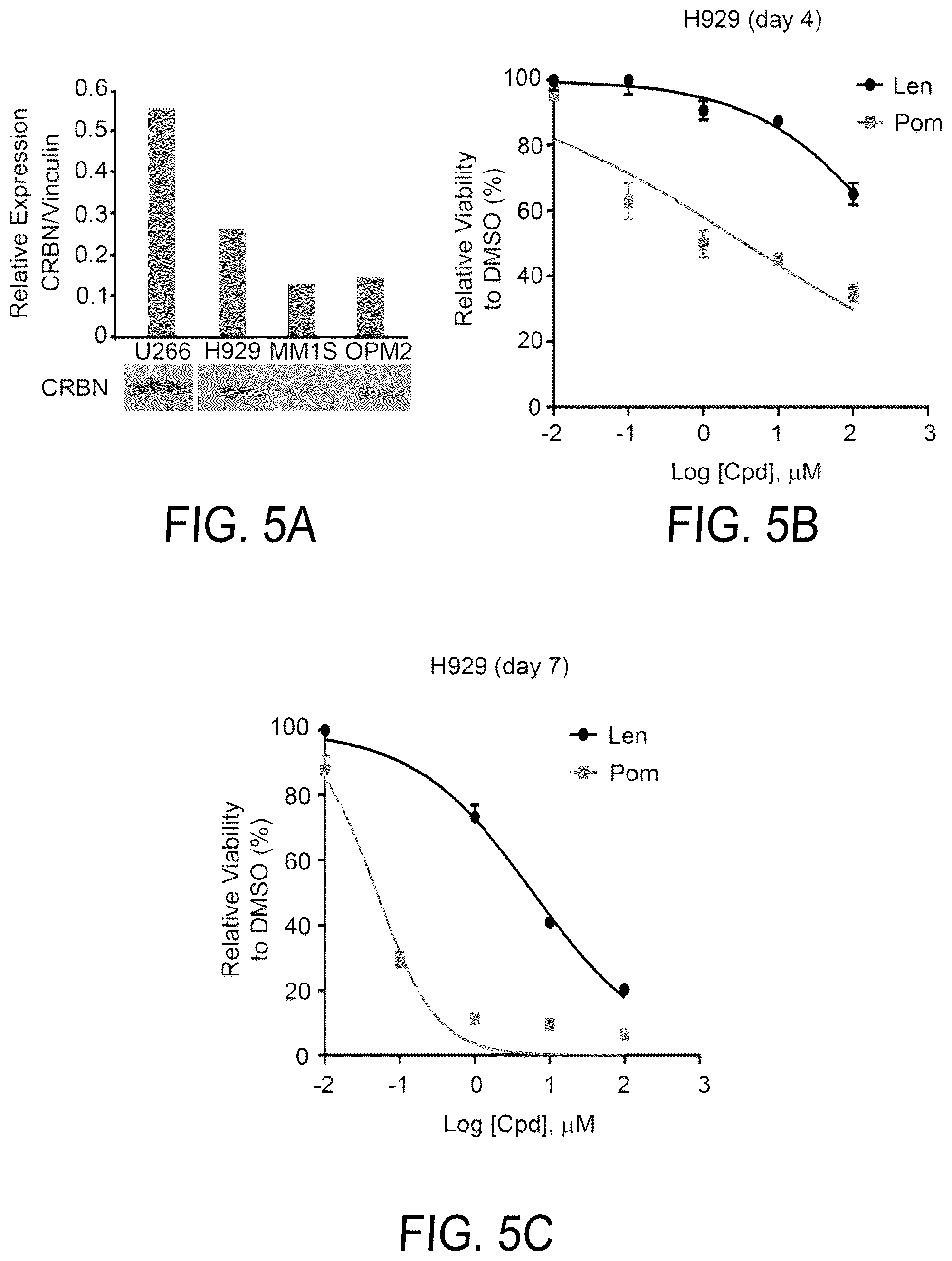 Patent US12564583 Figure 5 – Small molecules against cereblon to enhance effector T cell function