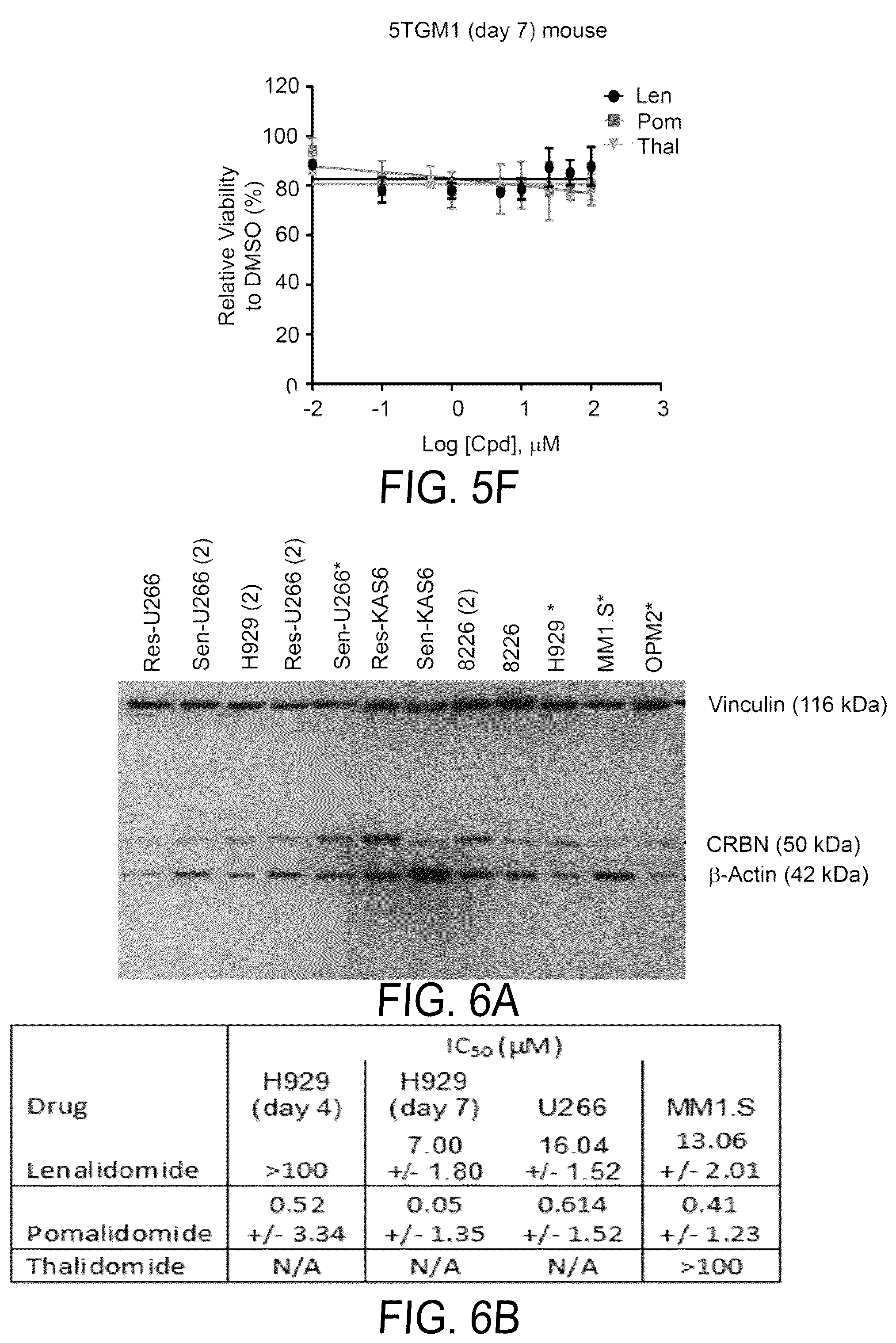 Patent US12564583 Figure 7 – Small molecules against cereblon to enhance effector T cell function
