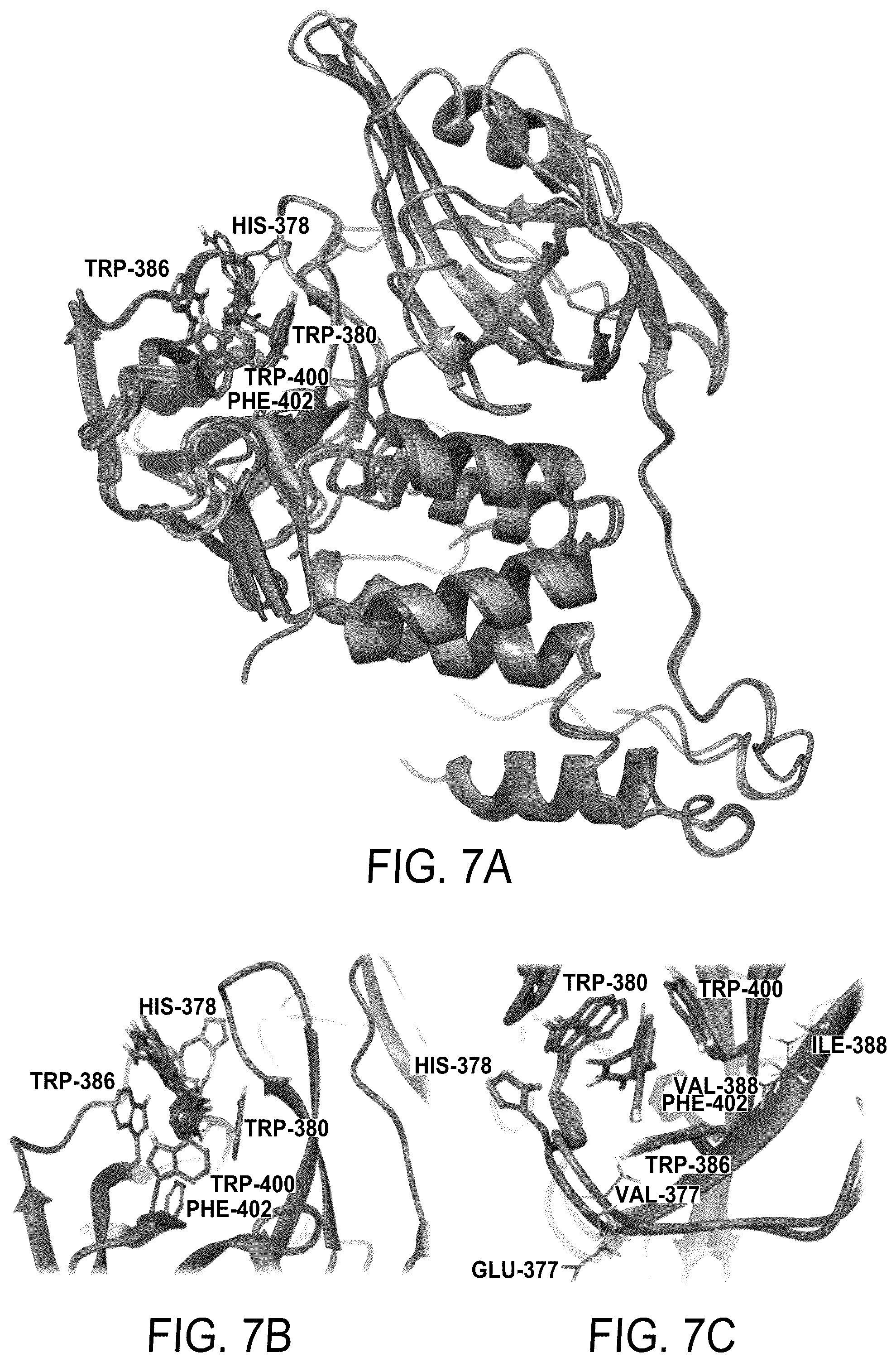 Patent US12564583 Figure 8 – Small molecules against cereblon to enhance effector T cell function