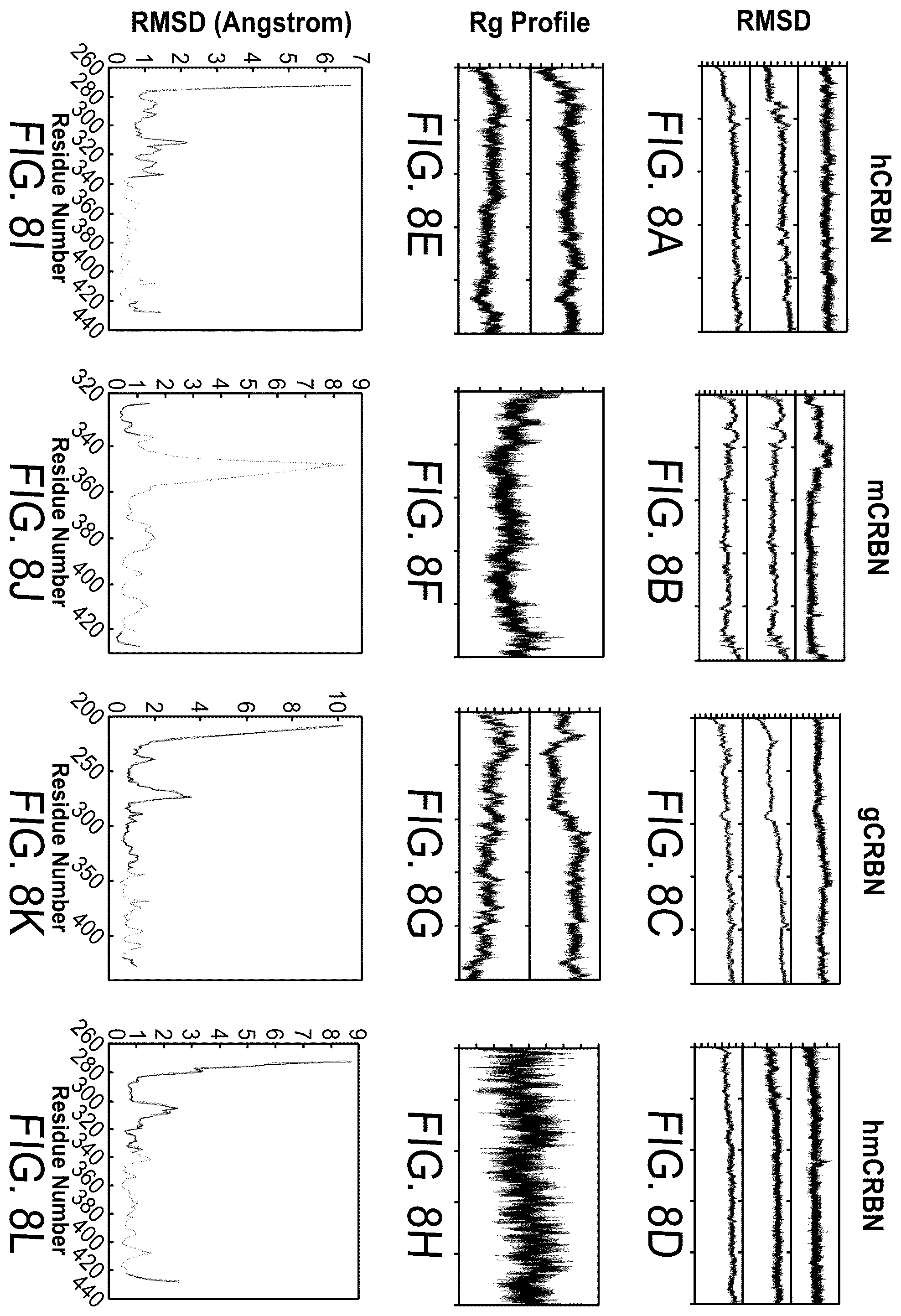 Patent US12564583 Figure 9 – Small molecules against cereblon to enhance effector T cell function