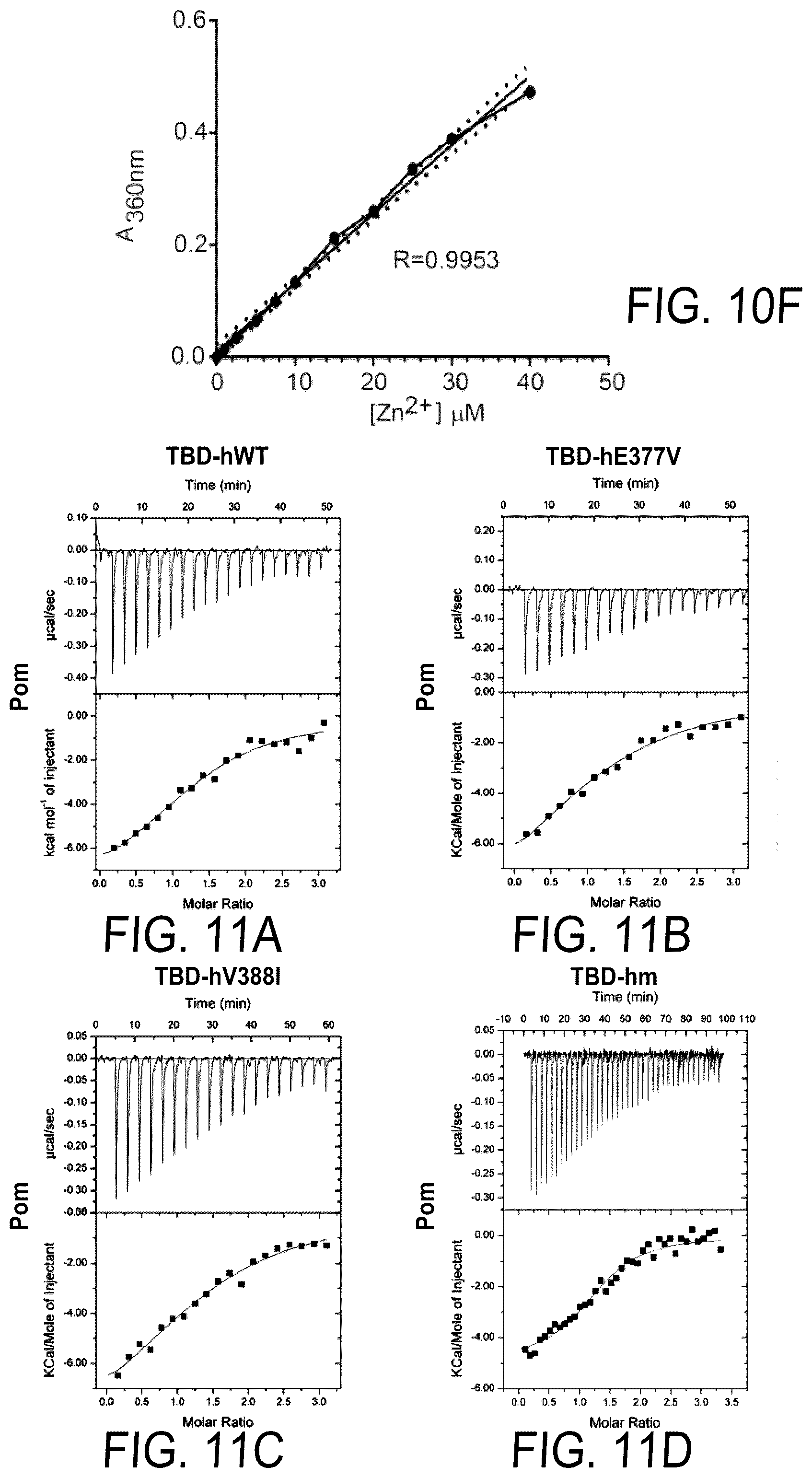 Patent US12564583 Figure 15 – Small molecules against cereblon to enhance effector T cell function