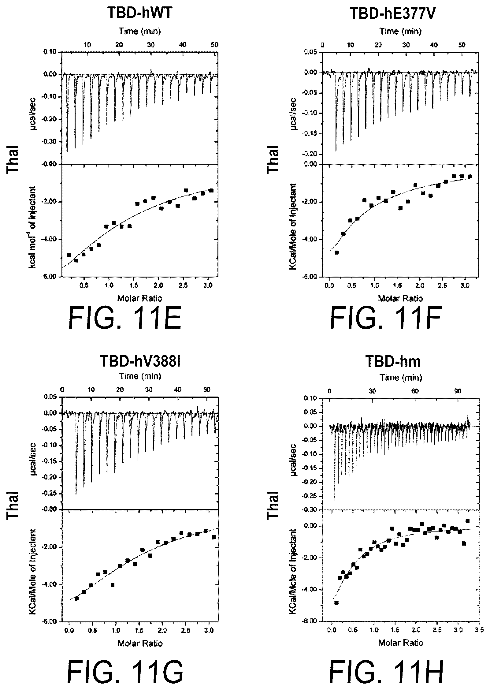 Patent US12564583 Figure 16 – Small molecules against cereblon to enhance effector T cell function