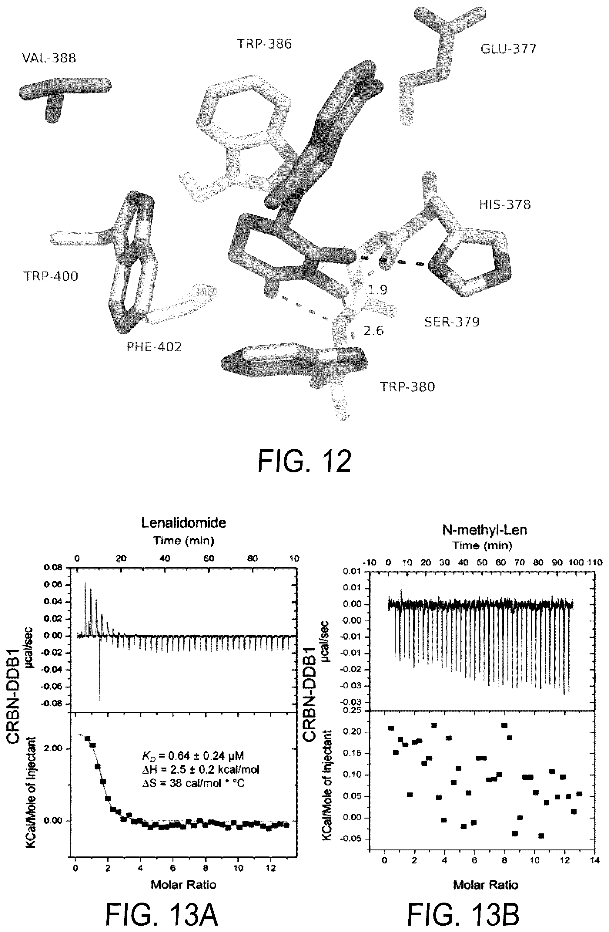 Patent US12564583 Figure 18 – Small molecules against cereblon to enhance effector T cell function