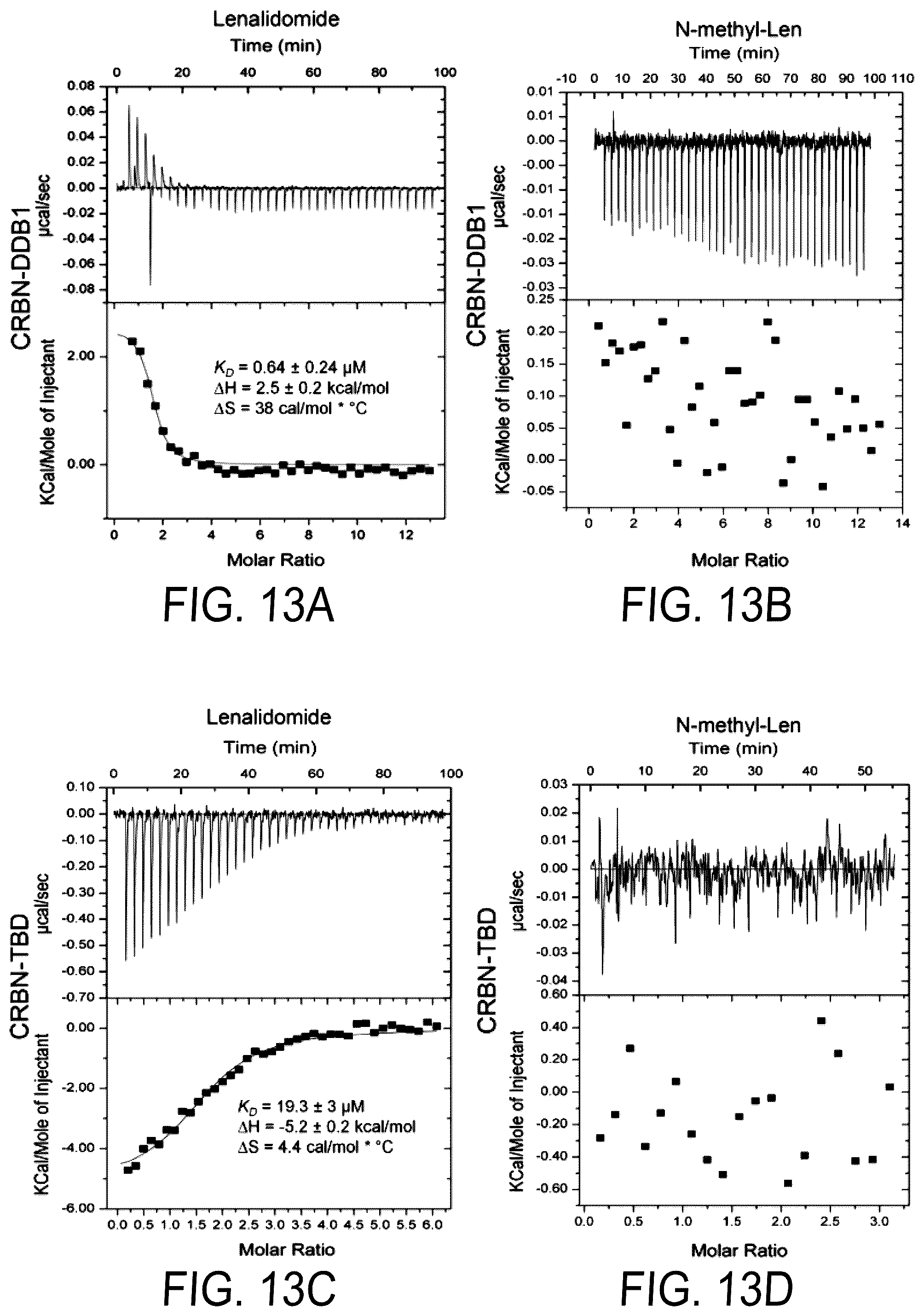 Patent US12564583 Figure 19 – Small molecules against cereblon to enhance effector T cell function
