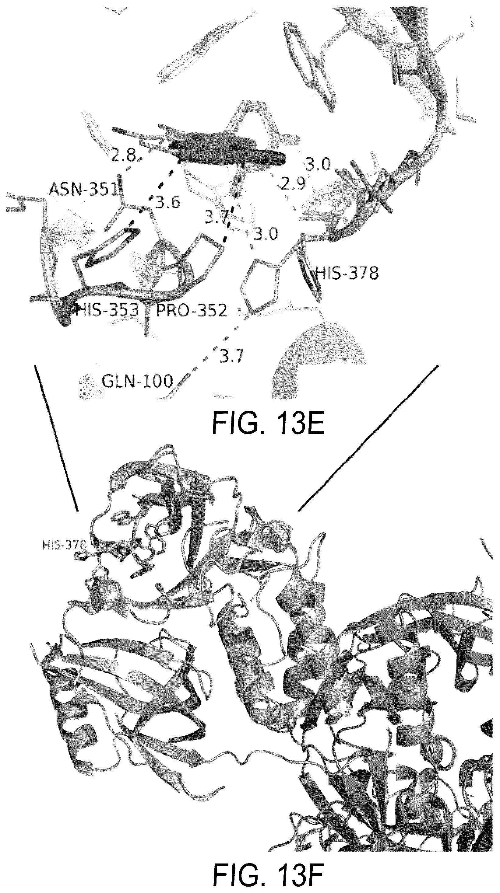 Patent US12564583 Figure 20 – Small molecules against cereblon to enhance effector T cell function
