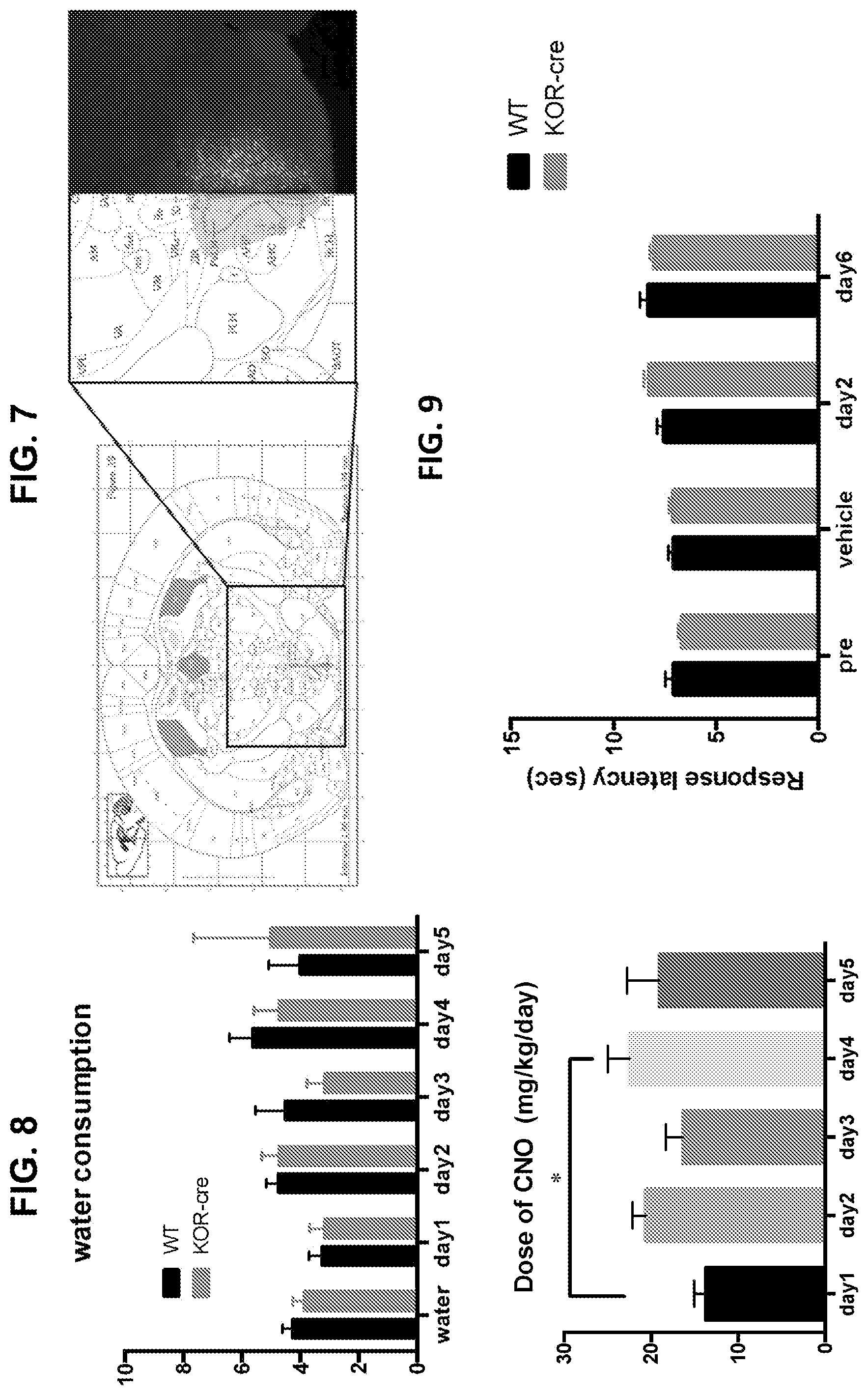 Patent US12564586 Figure 13 – Kappa opiod receptor antagonists for treating pain-related sleep disorders