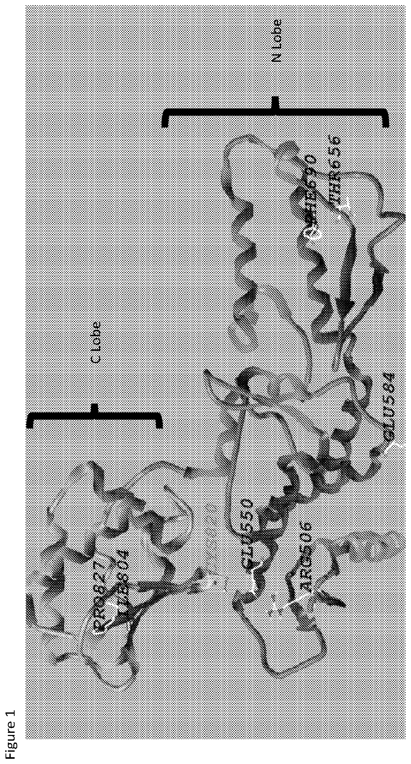 Patent US12564588 Figure 1 – HECT E3 ubiquitin liagase inhibitors and uses thereof