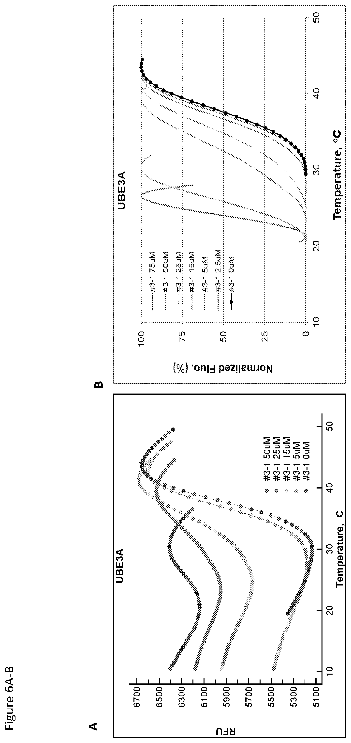Patent US12564588 Figure 7 – HECT E3 ubiquitin liagase inhibitors and uses thereof