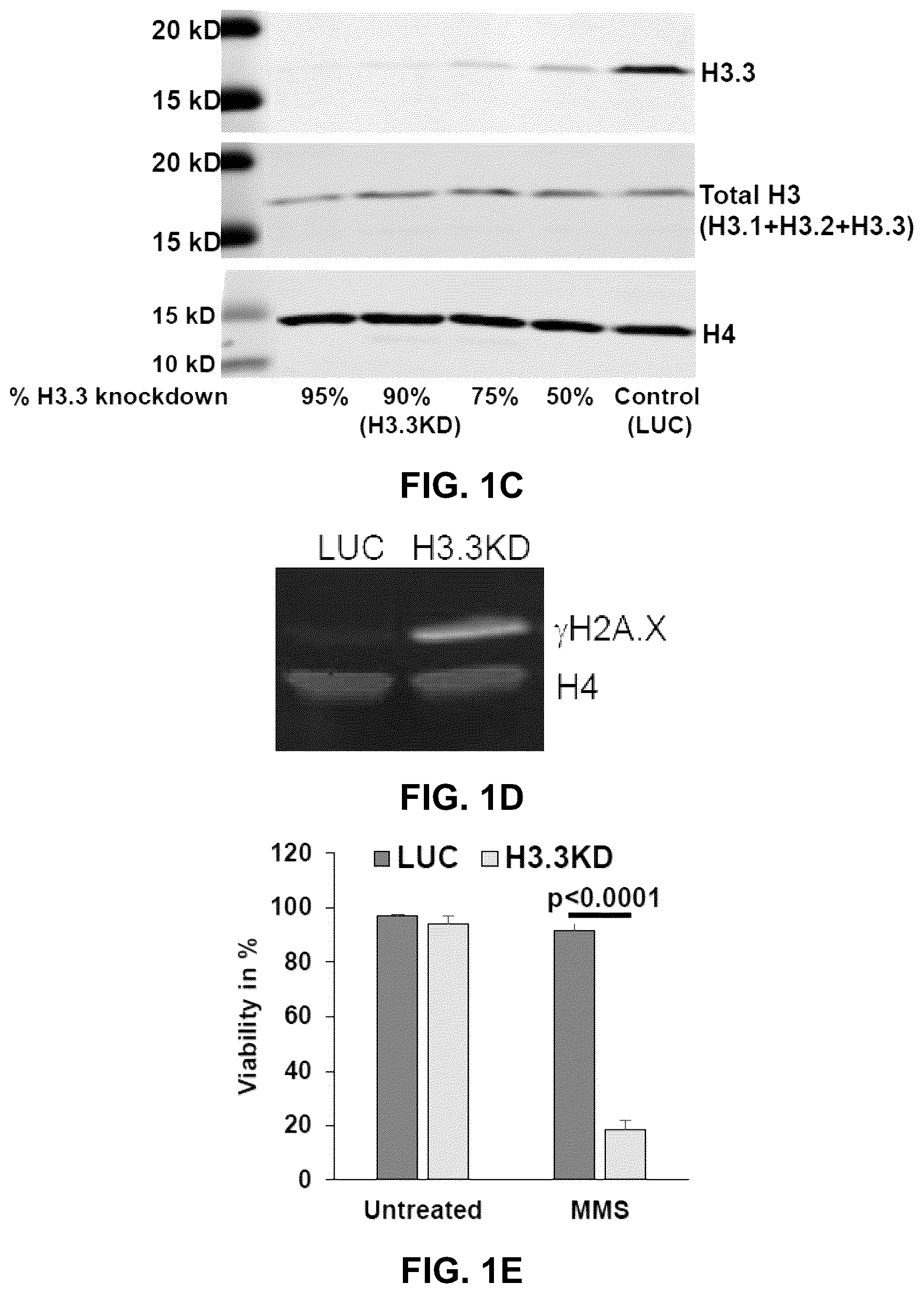 Patent US12564589 Figure 3 – Methods for treating cancer, reducing side effects of cancer treatment, and preventing the recurrence of cancer