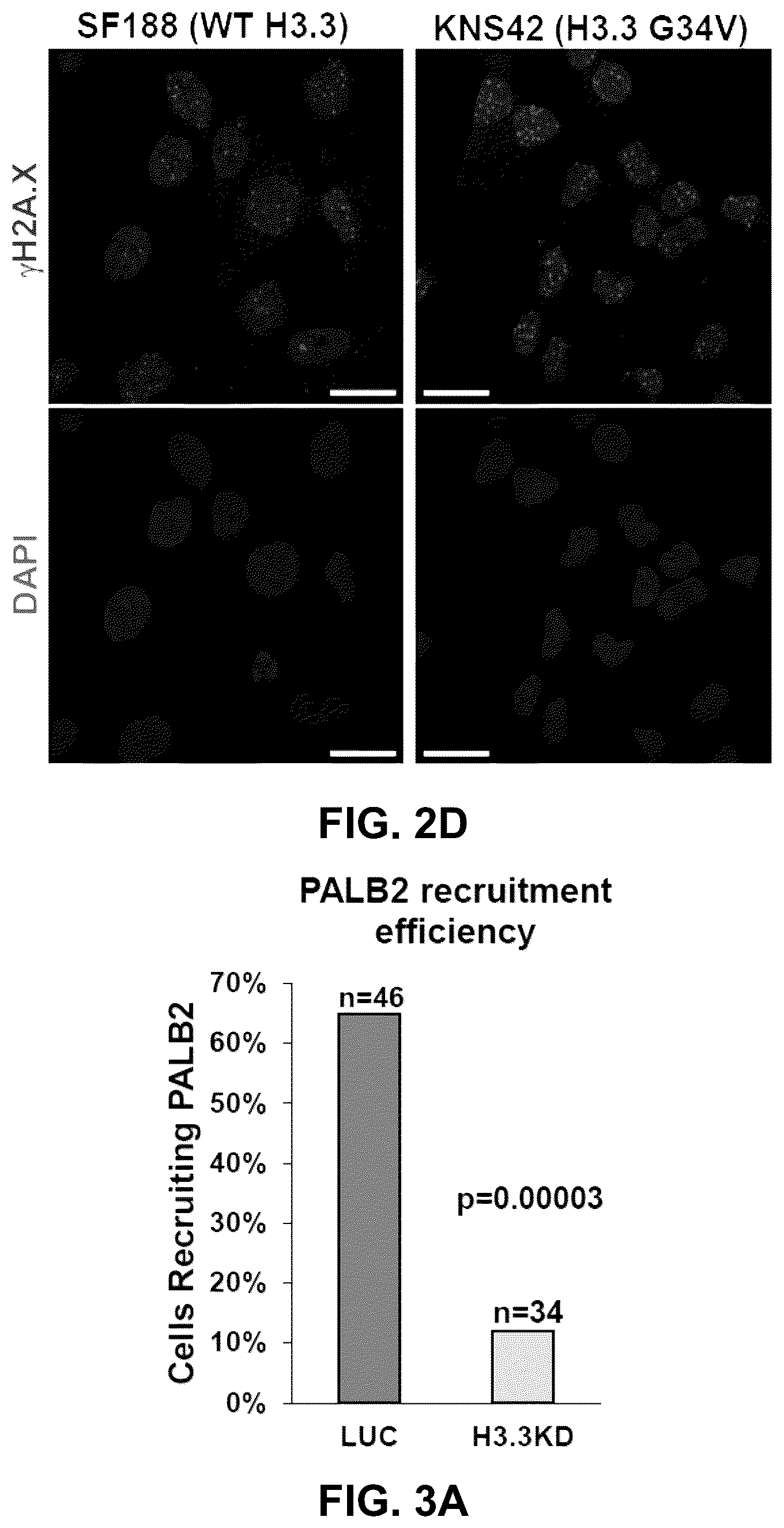 Patent US12564589 Figure 8 – Methods for treating cancer, reducing side effects of cancer treatment, and preventing the recurrence of cancer