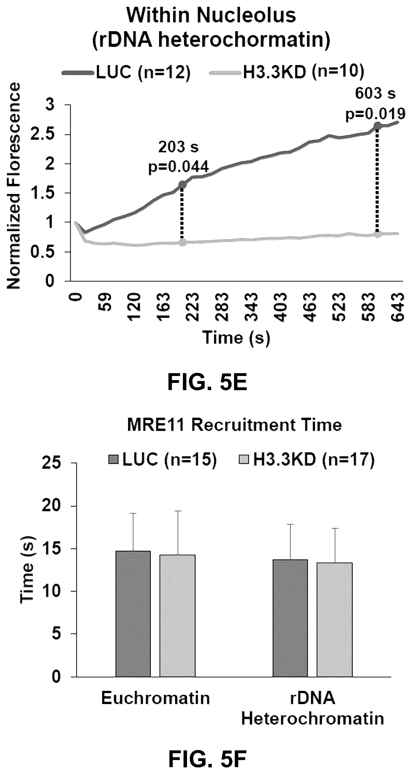 Patent US12564589 Figure 19 – Methods for treating cancer, reducing side effects of cancer treatment, and preventing the recurrence of cancer