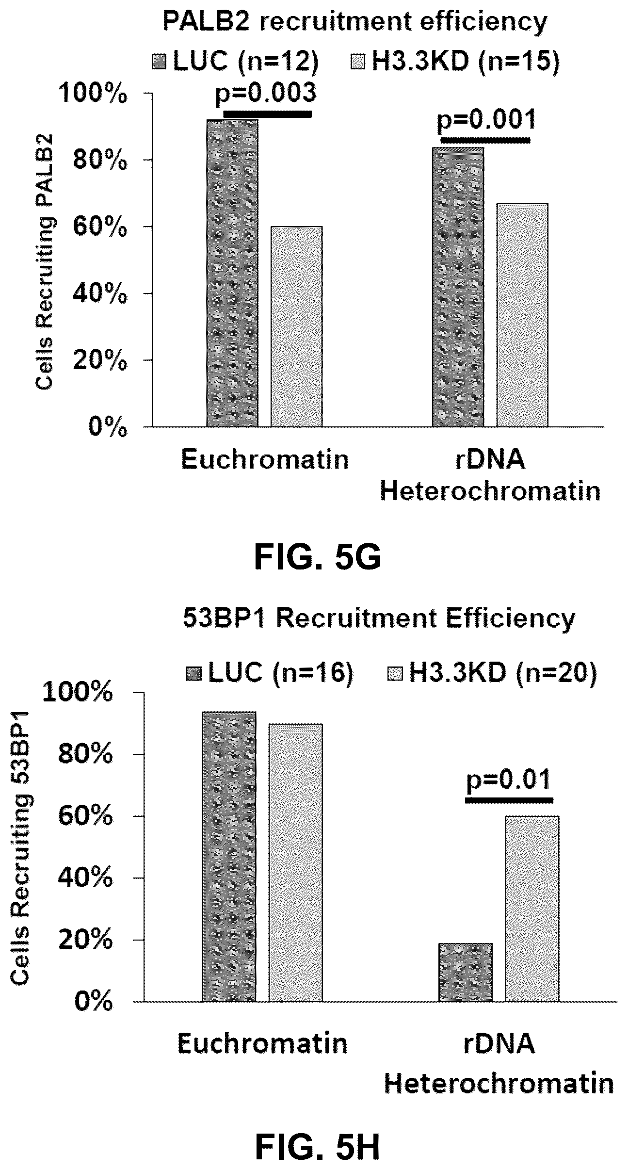 Patent US12564589 Figure 20 – Methods for treating cancer, reducing side effects of cancer treatment, and preventing the recurrence of cancer