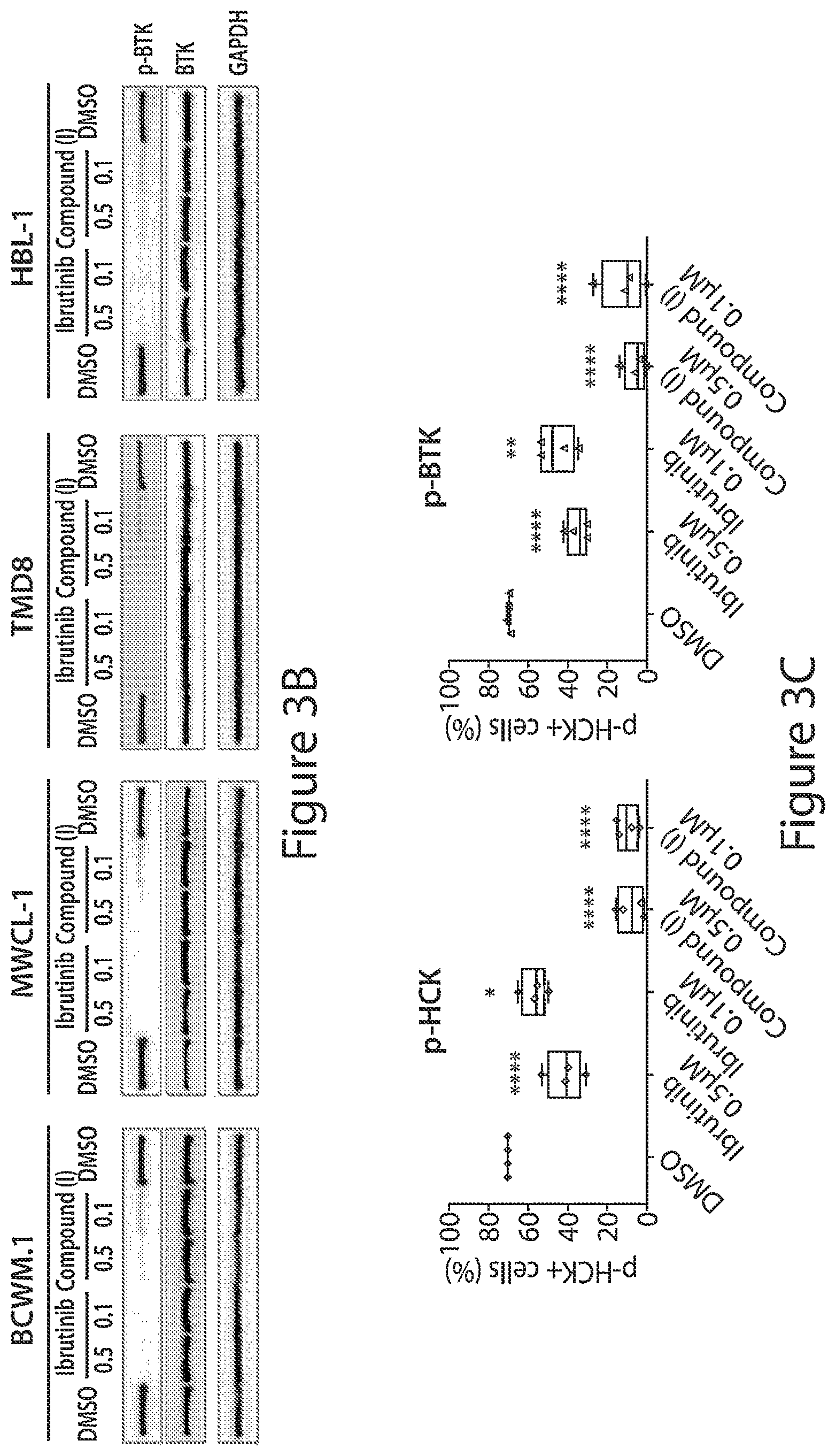 Patent US12564591 Figure 5 – HCK as a therapeutic target in MYD88 mutated diseases