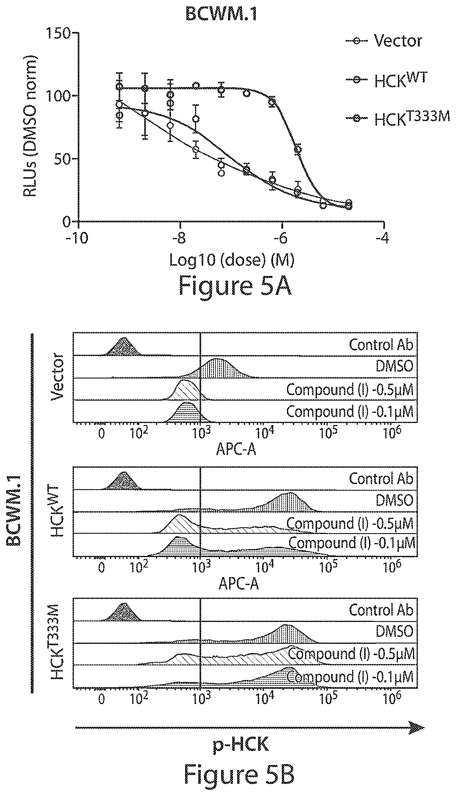 Patent US12564591 Figure 8 – HCK as a therapeutic target in MYD88 mutated diseases