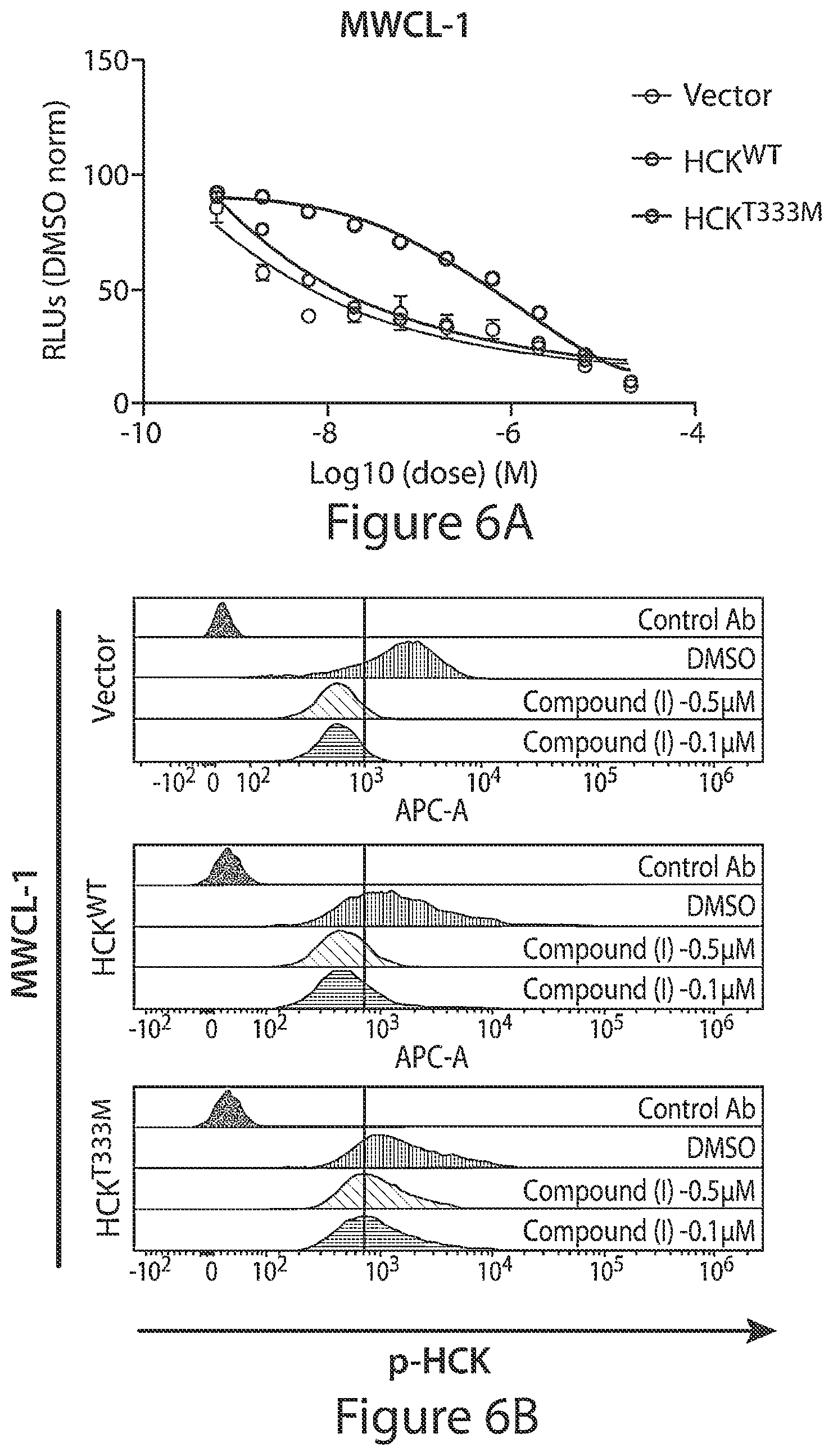 Patent US12564591 Figure 10 – HCK as a therapeutic target in MYD88 mutated diseases