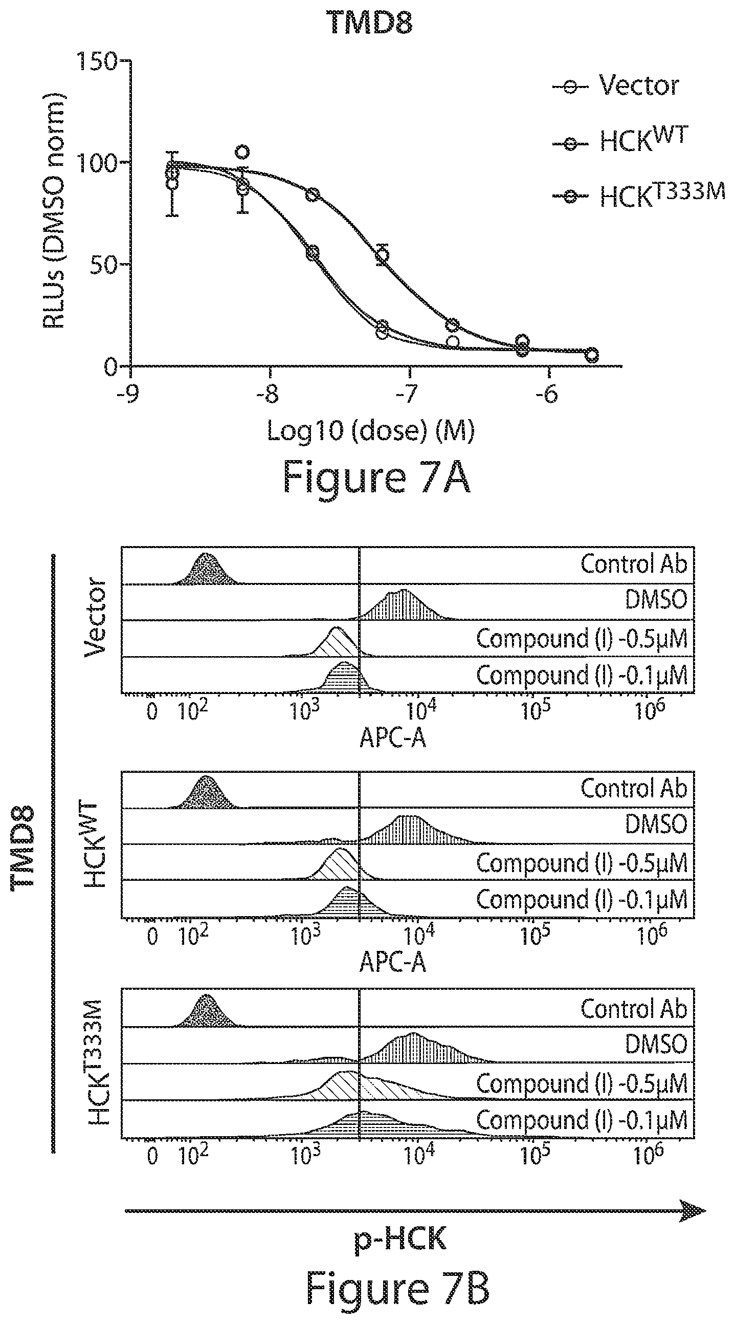 Patent US12564591 Figure 12 – HCK as a therapeutic target in MYD88 mutated diseases
