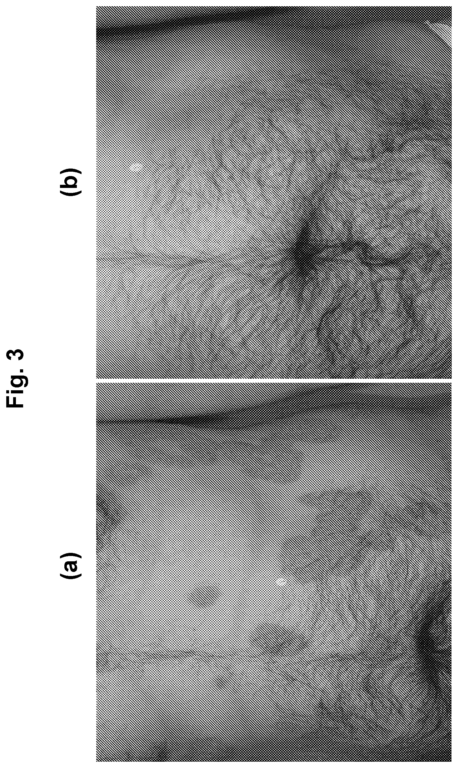 Patent US12564593 Figure 3 – Topical formulation for a JAK inhibitor