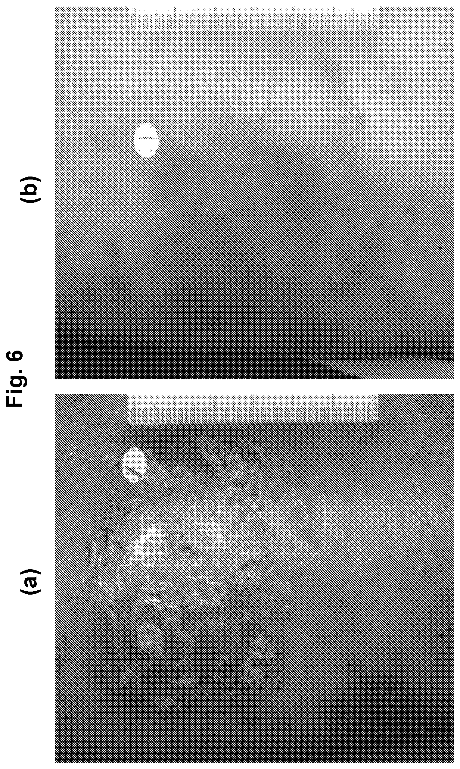 Patent US12564593 Figure 6 – Topical formulation for a JAK inhibitor
