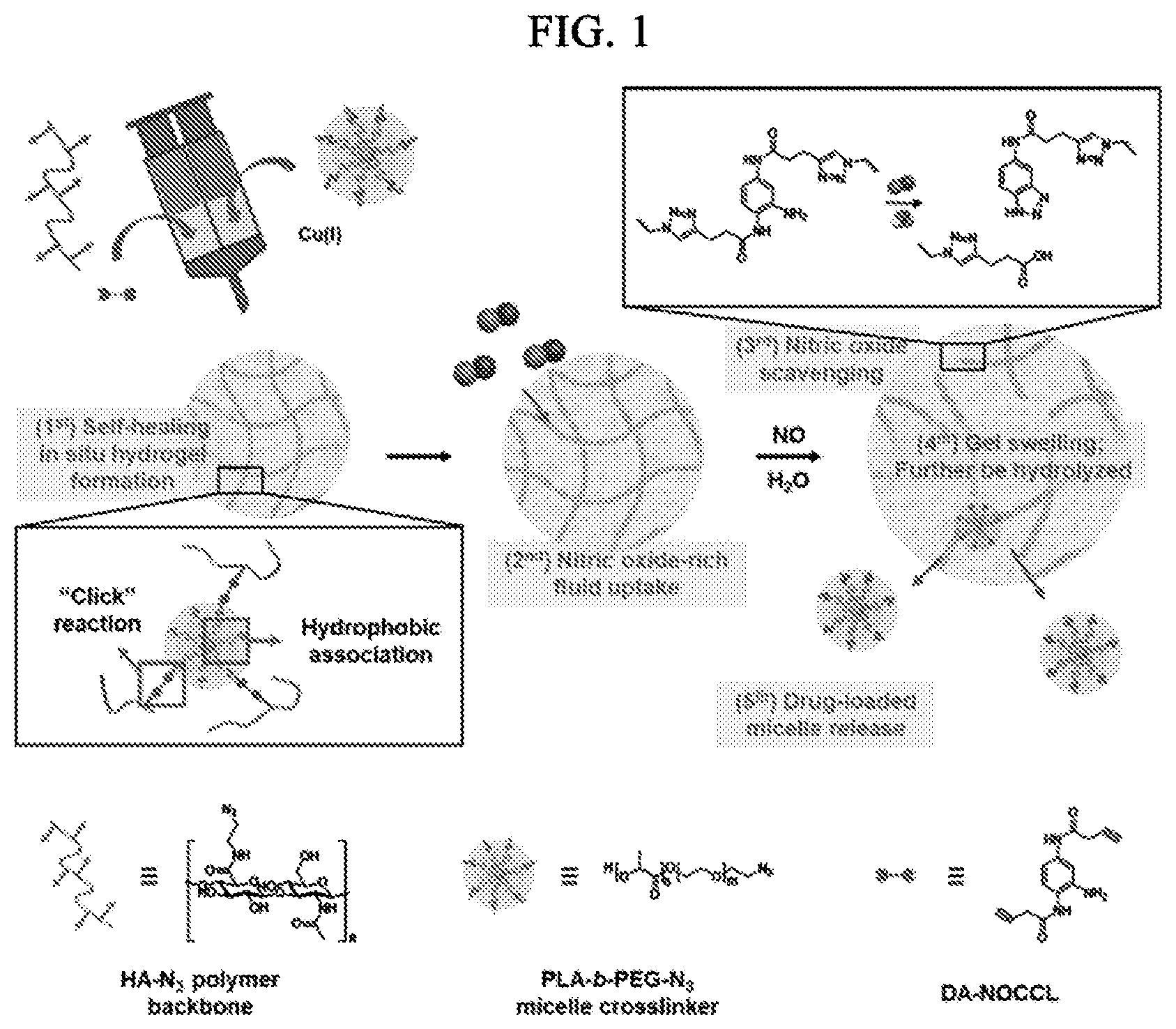 Patent US12564598 Figure 1 – Nitric oxide-sensitive hydrogel