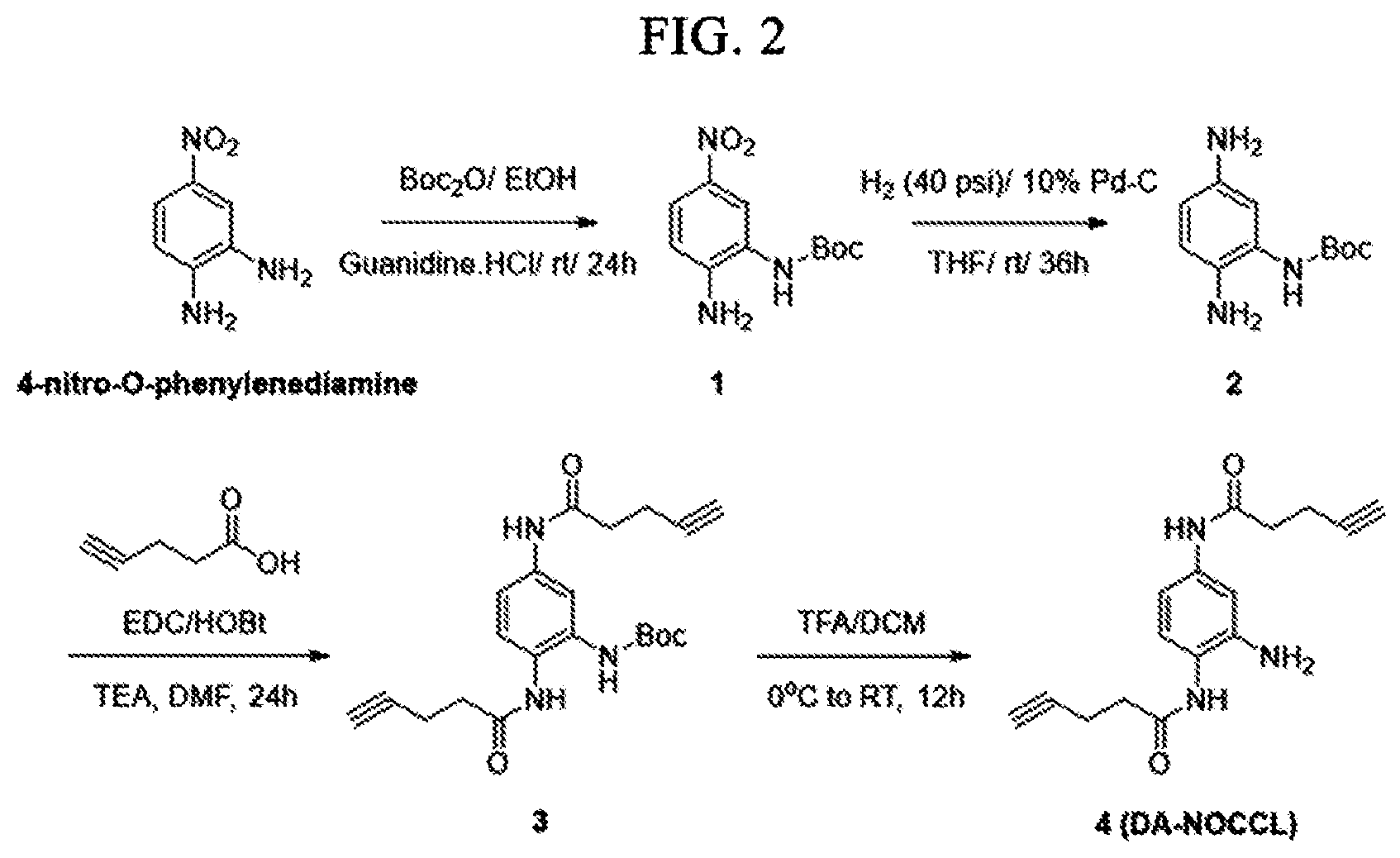 Patent US12564598 Figure 2 – Nitric oxide-sensitive hydrogel