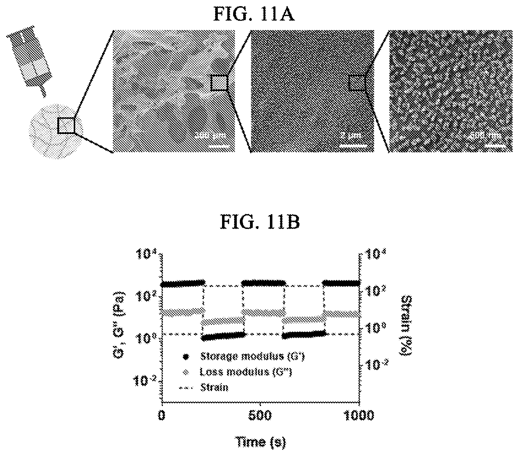 Patent US12564598 Figure 10 – Nitric oxide-sensitive hydrogel