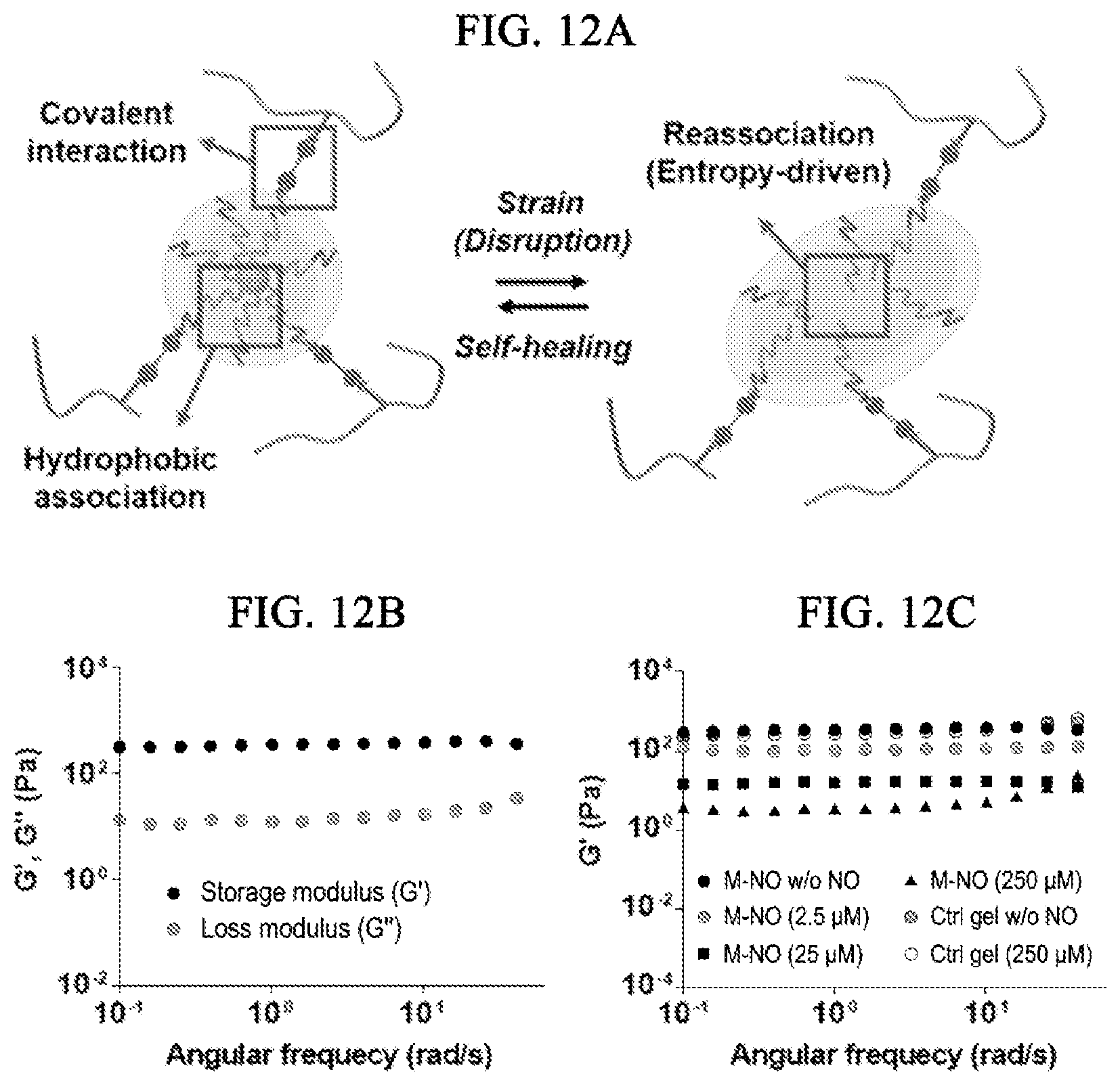 Patent US12564598 Figure 11 – Nitric oxide-sensitive hydrogel