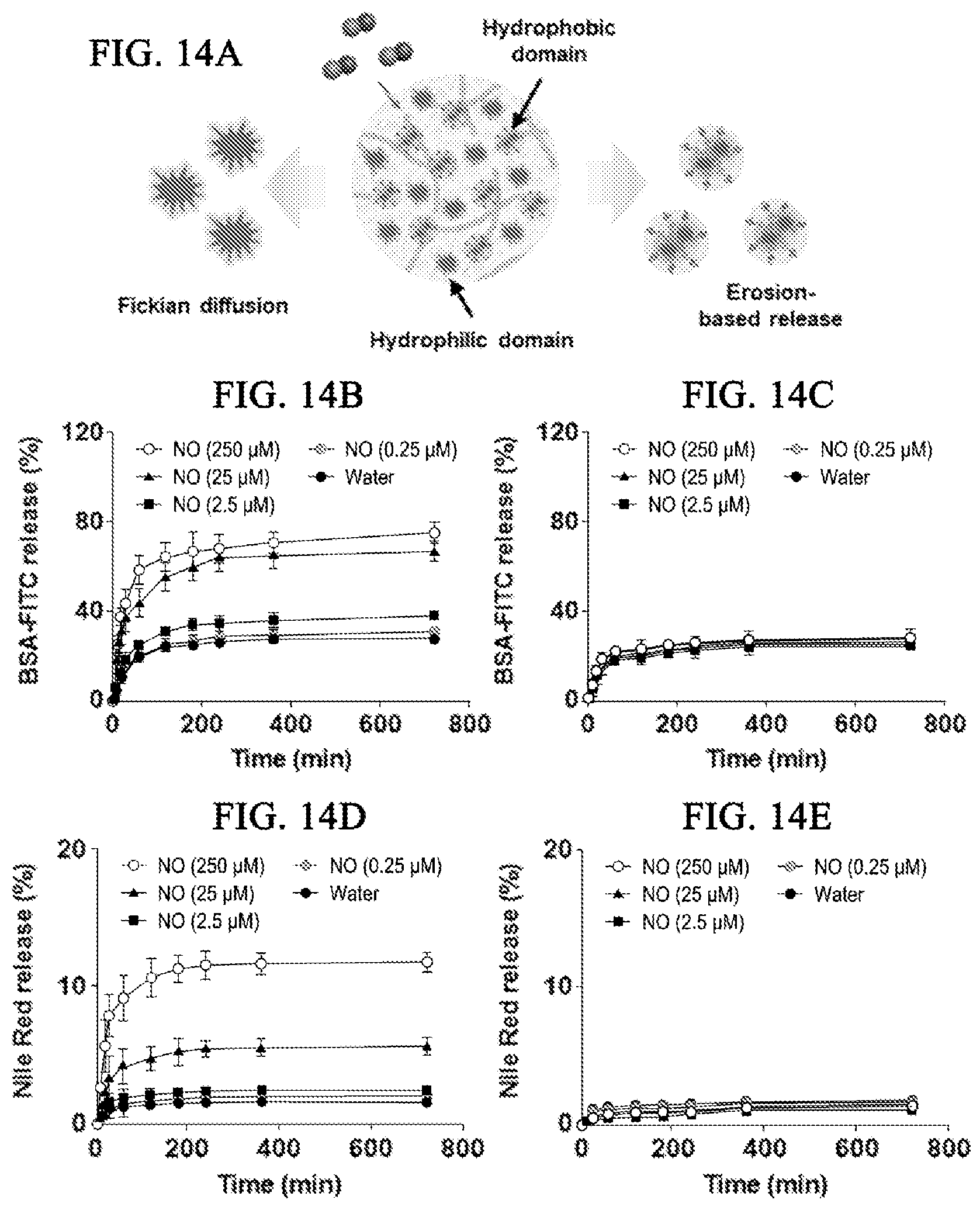 Patent US12564598 Figure 13 – Nitric oxide-sensitive hydrogel