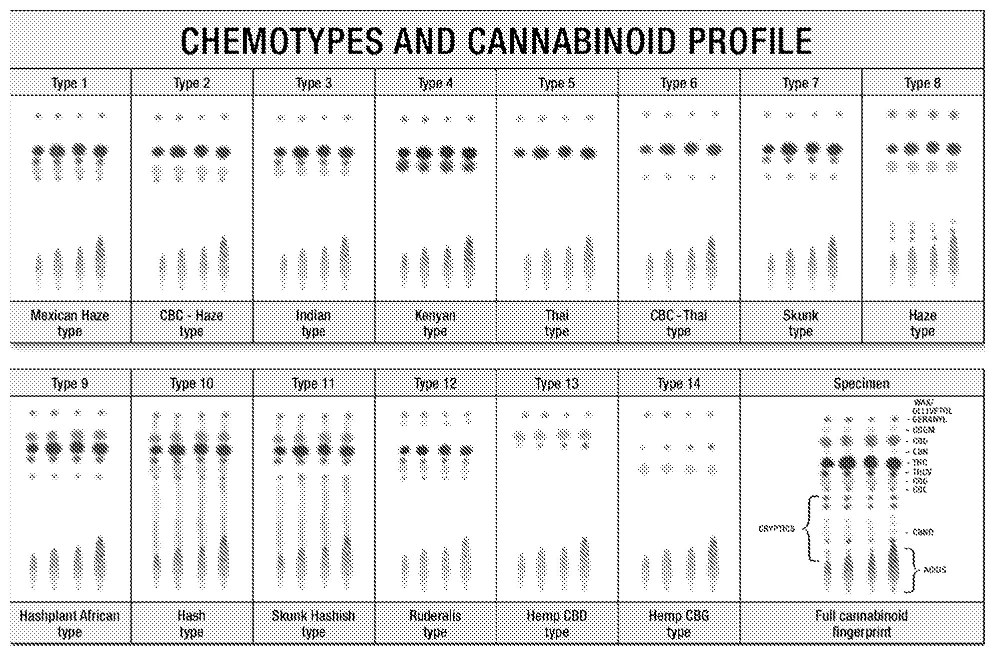Patent US12564599 Figure 1 – Pharmaceutical composition comprising tetrahydrocannabivarin for the prevention and treatment of overweight