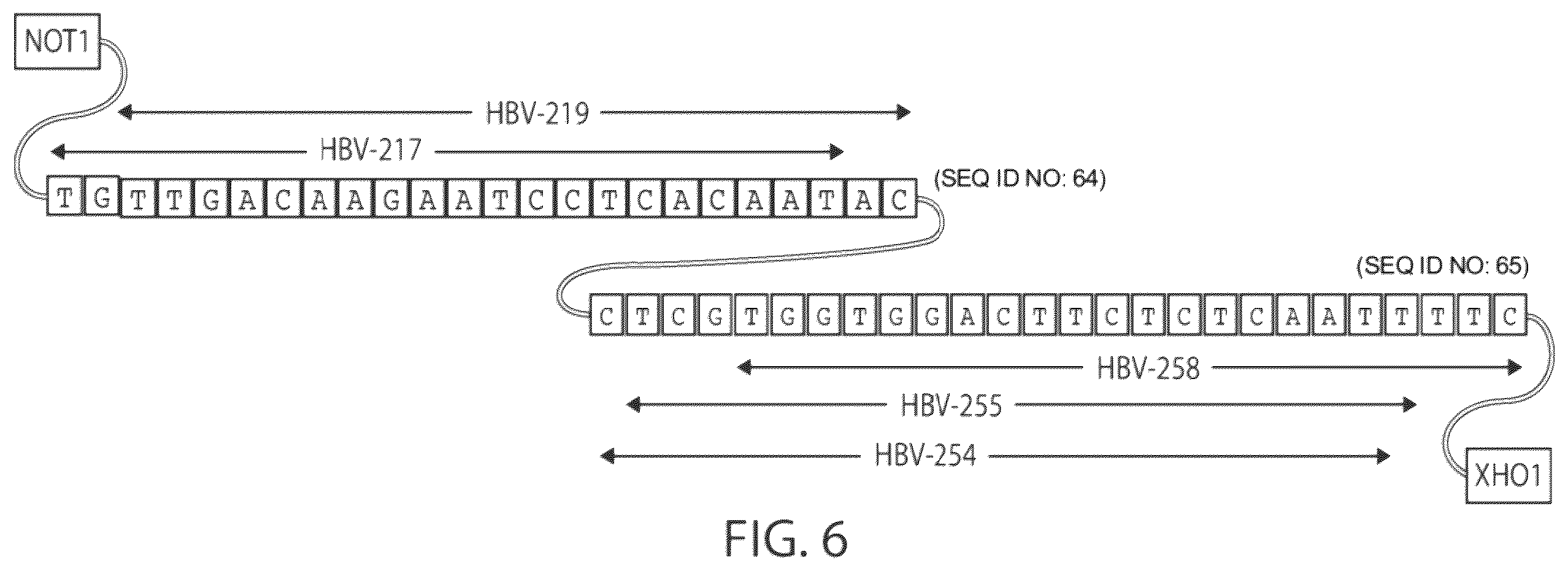 Patent US12564601 Figure 5 – Methods for treating hepatitis B infection