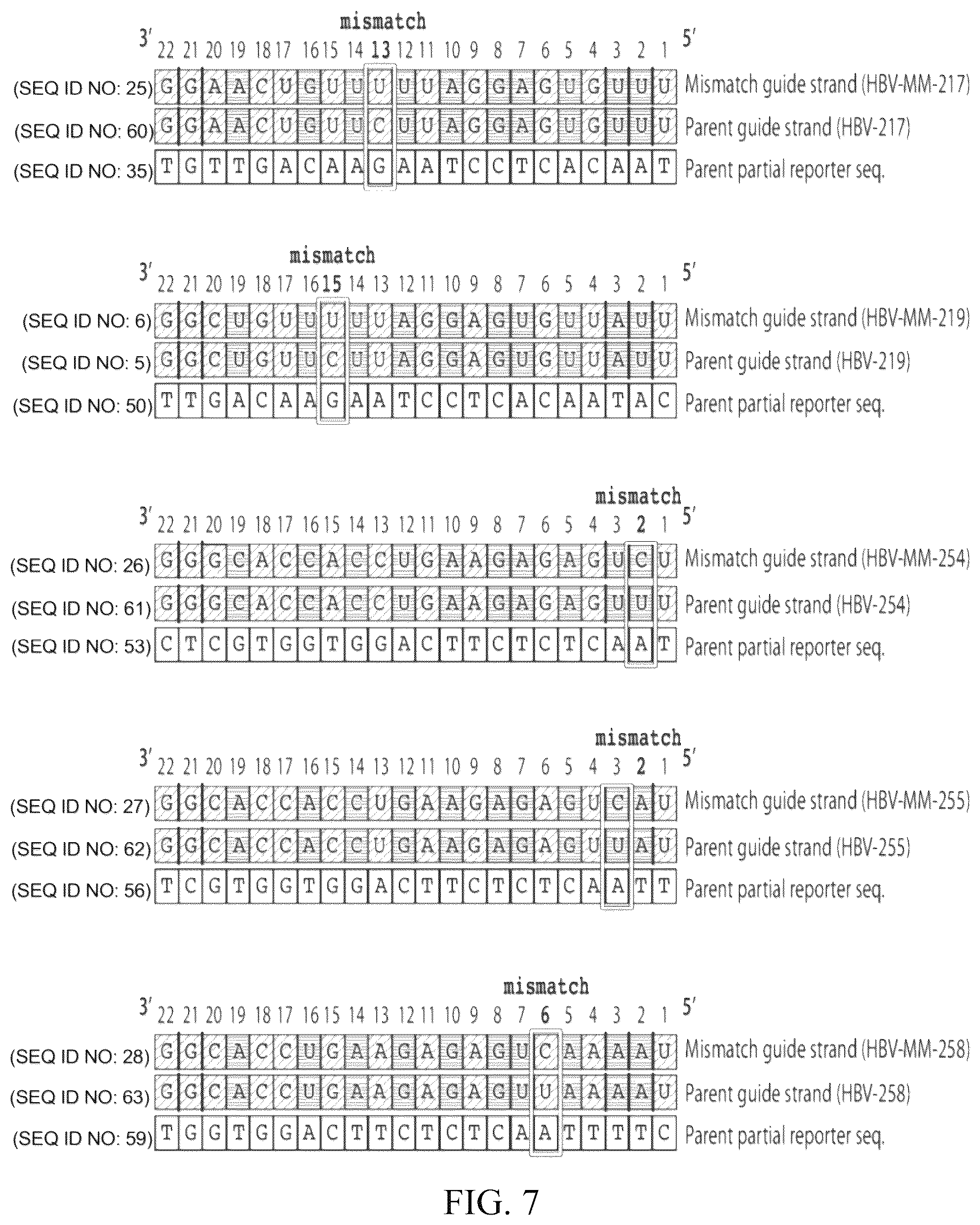Patent US12564601 Figure 6 – Methods for treating hepatitis B infection