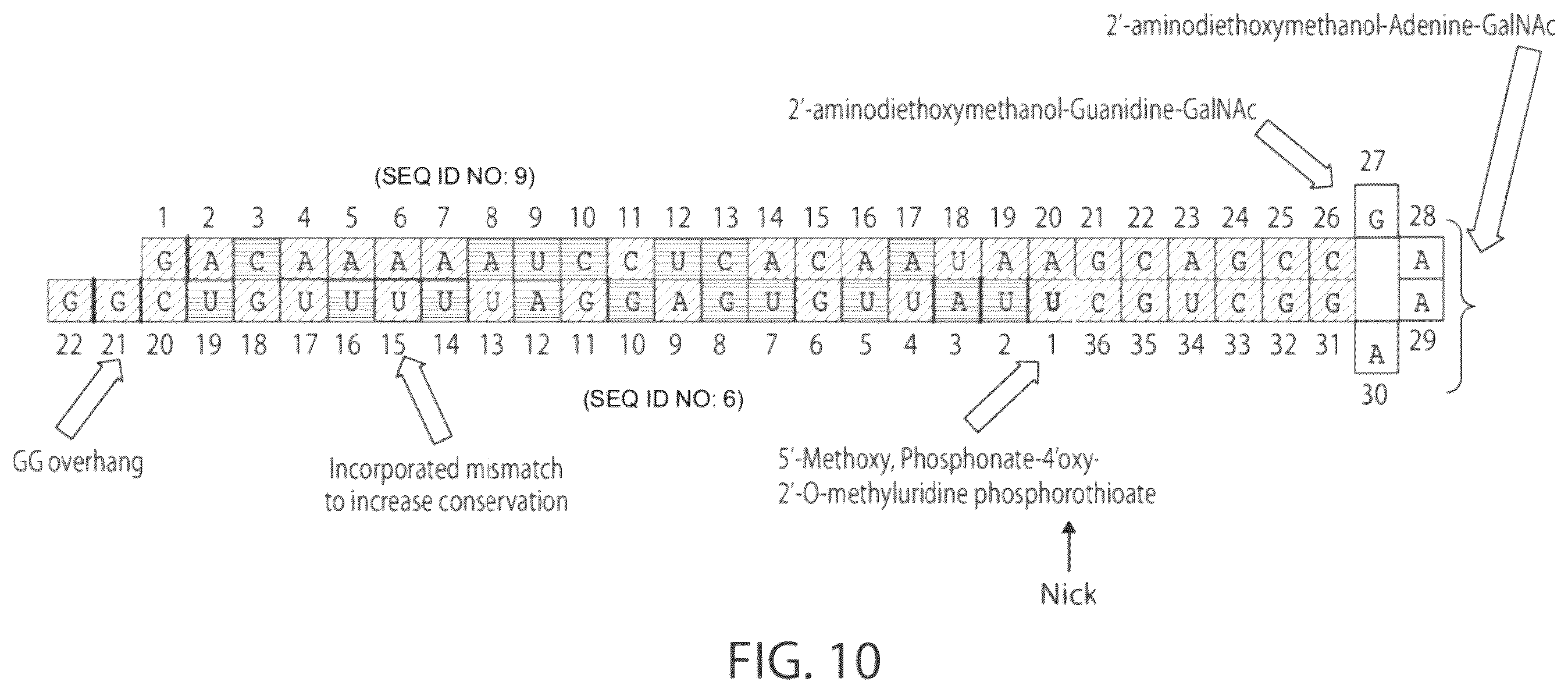 Patent US12564601 Figure 8 – Methods for treating hepatitis B infection
