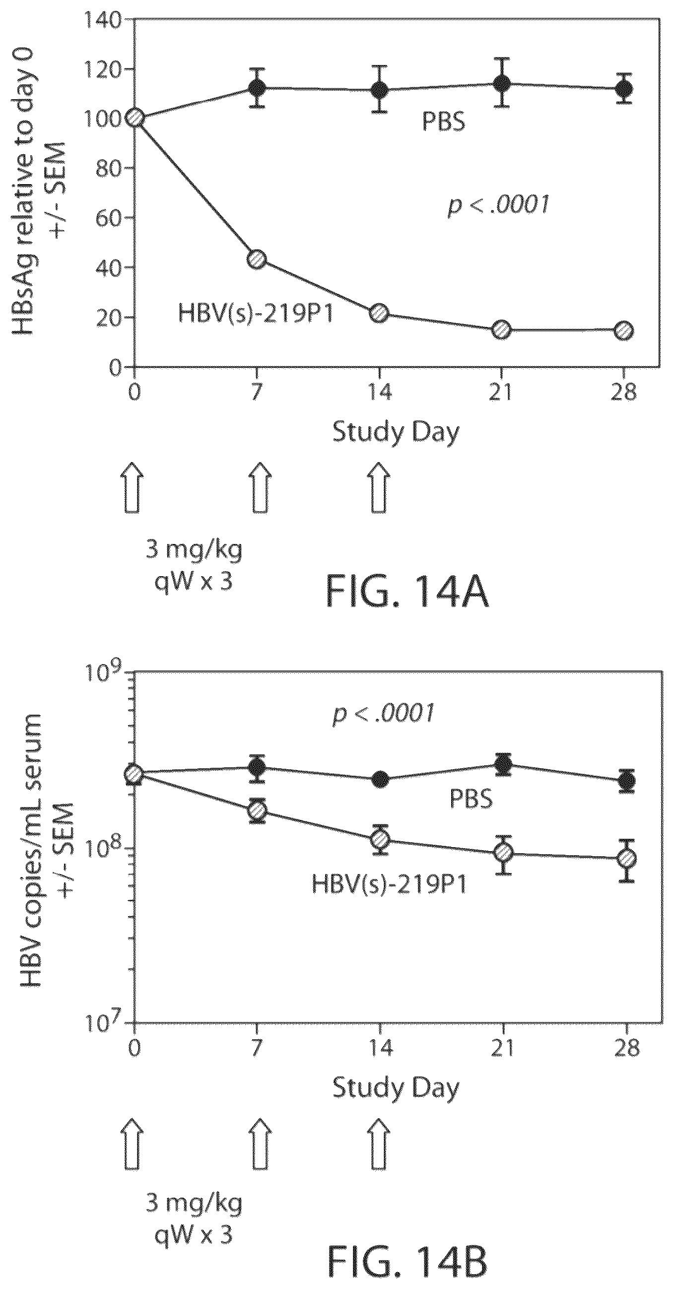 Patent US12564601 Figure 12 – Methods for treating hepatitis B infection