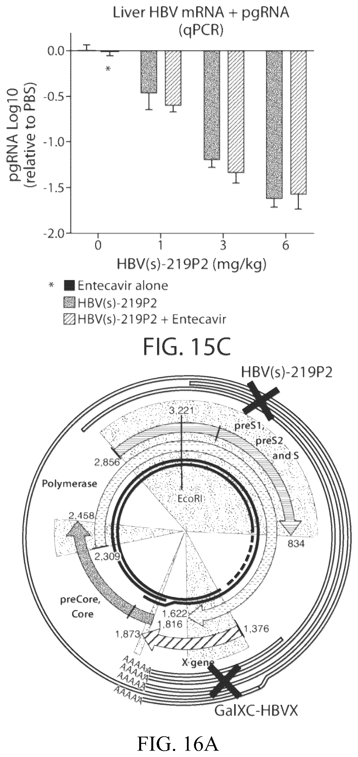 Patent US12564601 Figure 15 – Methods for treating hepatitis B infection