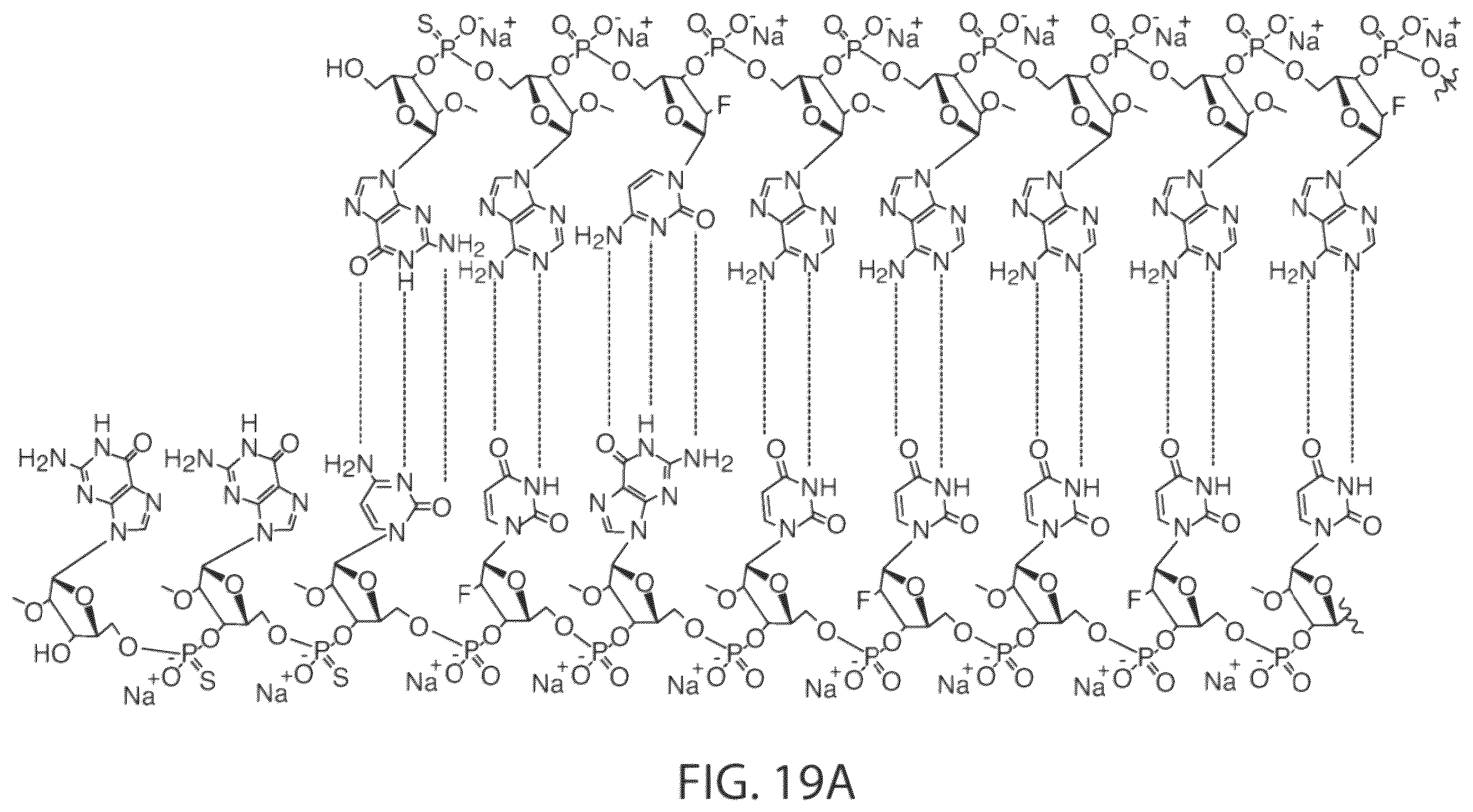 Patent US12564601 Figure 19 – Methods for treating hepatitis B infection