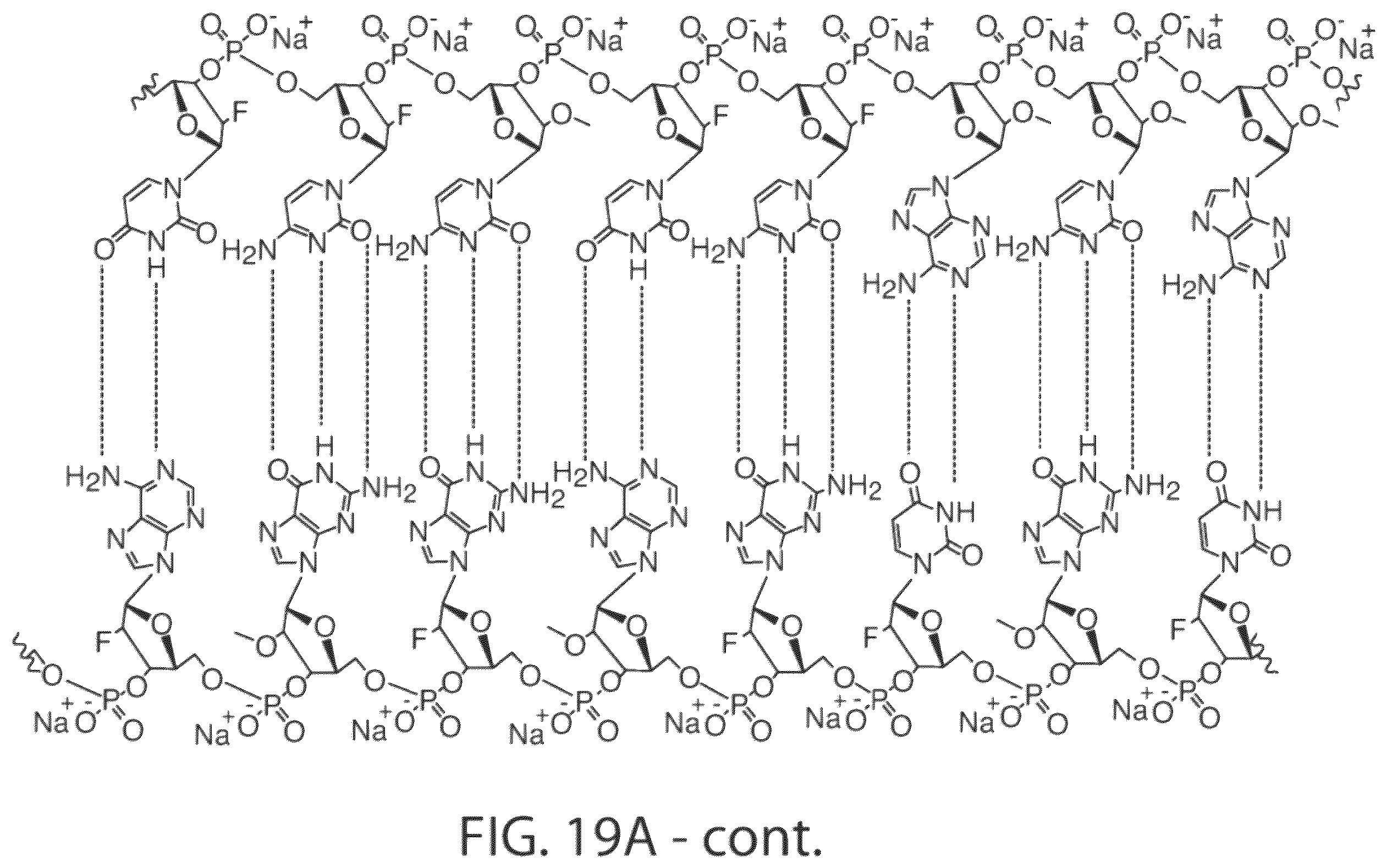 Patent US12564601 Figure 20 – Methods for treating hepatitis B infection
