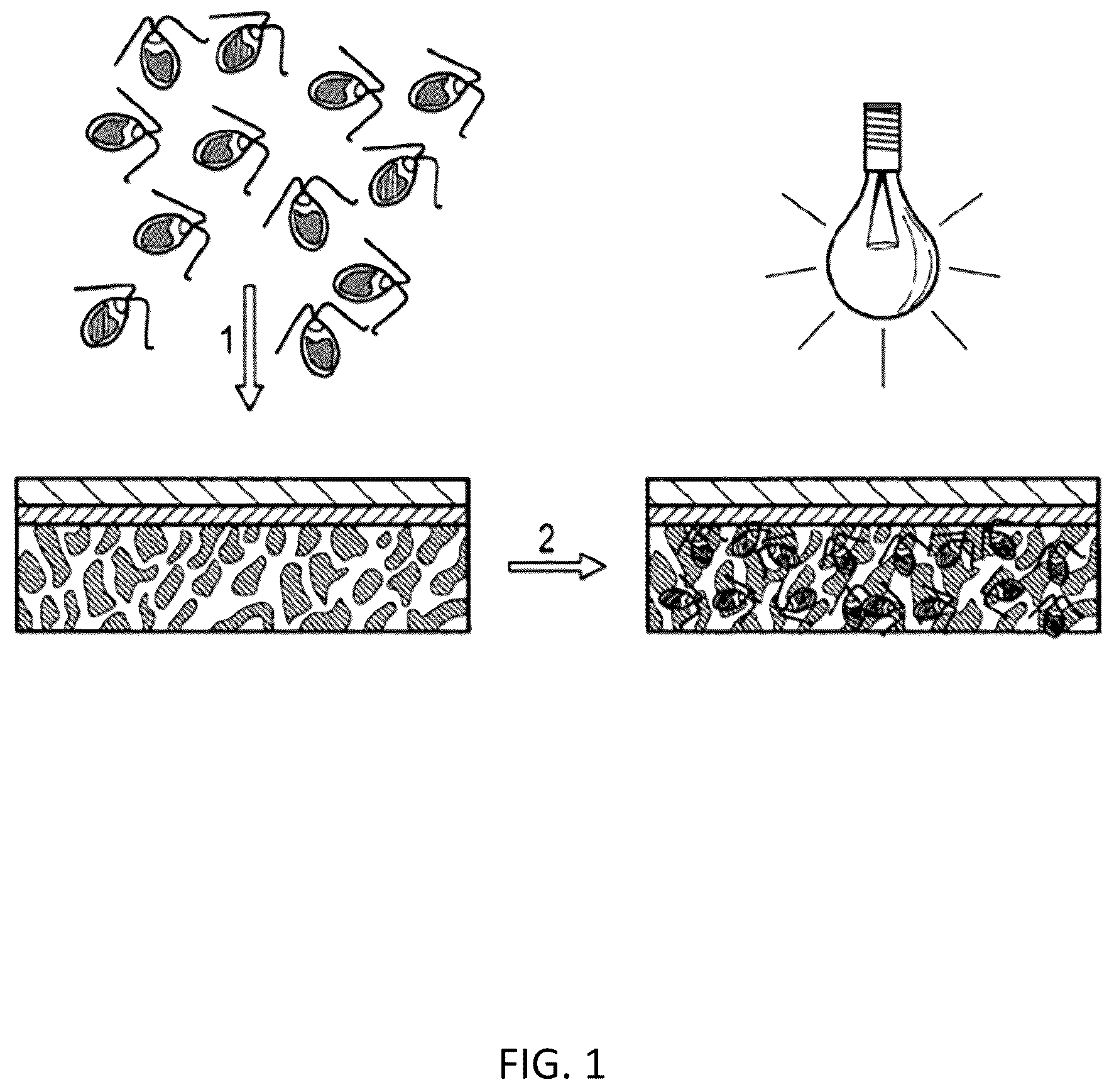 Patent US12564604 Figure 1 – Photosynthetic cellular substances and methods of use thereof