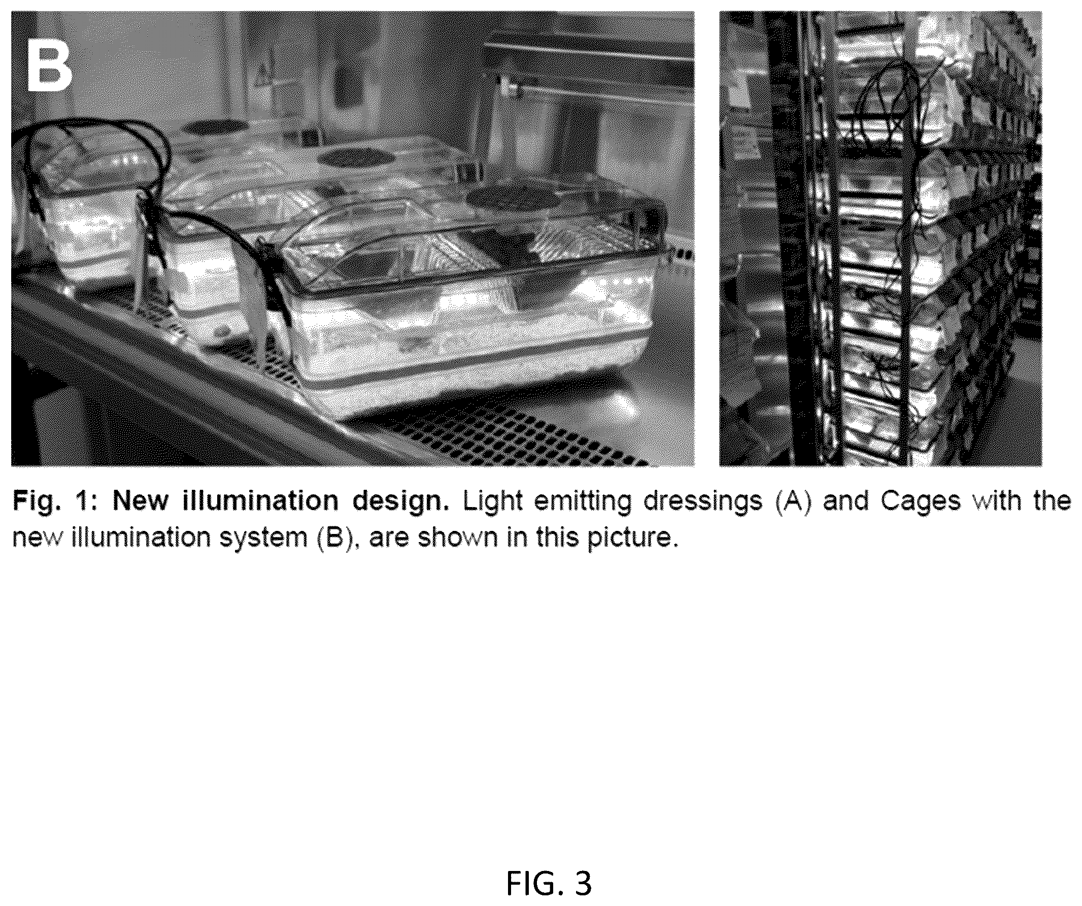 Patent US12564604 Figure 3 – Photosynthetic cellular substances and methods of use thereof