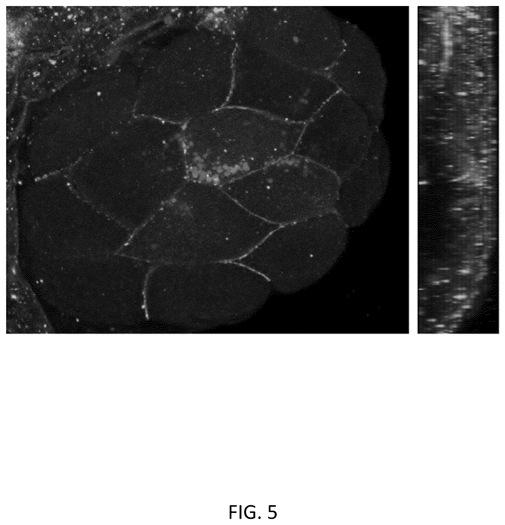 Patent US12564604 Figure 5 – Photosynthetic cellular substances and methods of use thereof