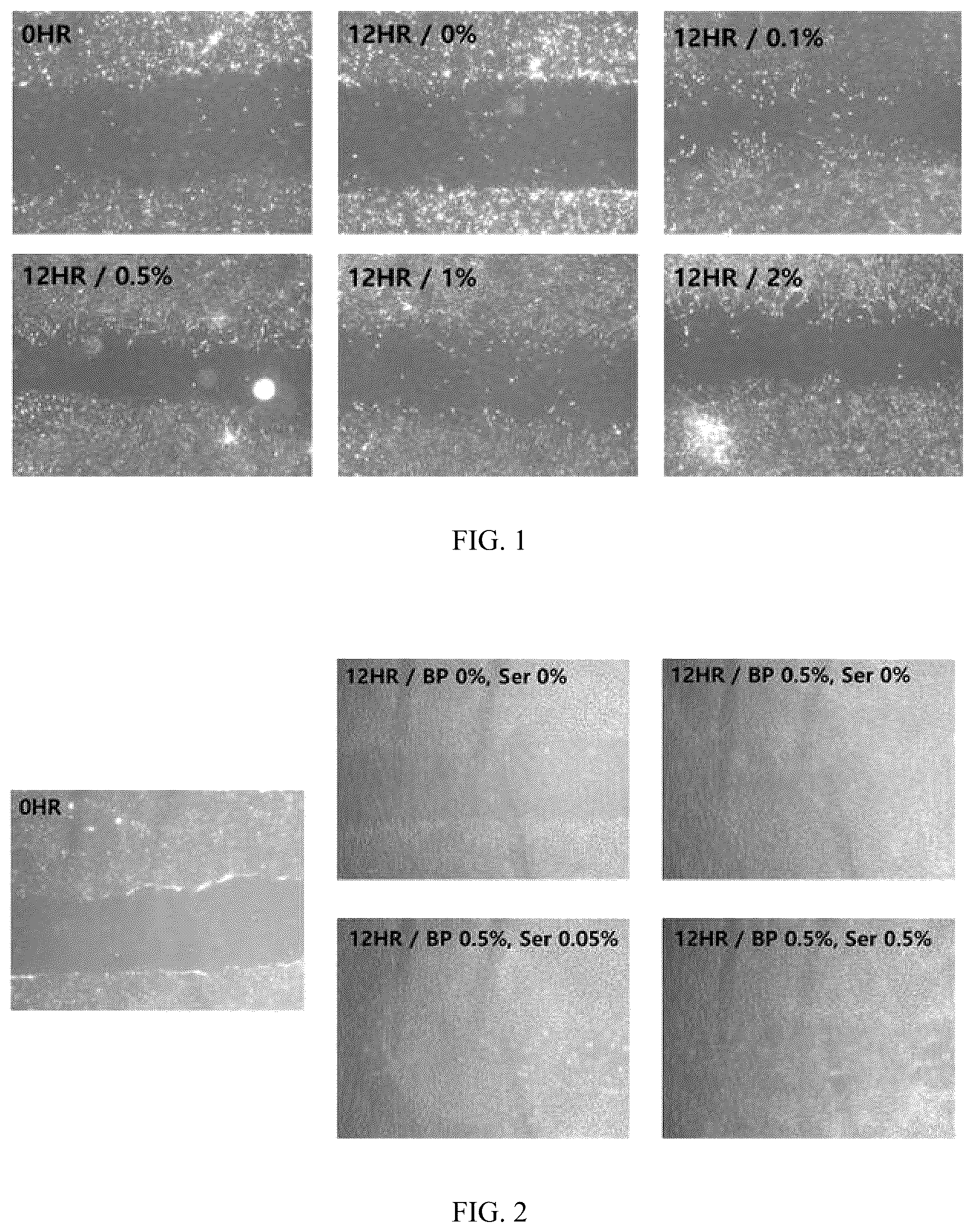Patent US12564606 Figure 1 – Pharmaceutical composition for treating wounds