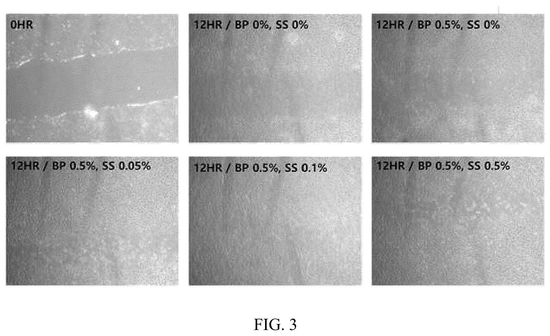 Patent US12564606 Figure 2 – Pharmaceutical composition for treating wounds