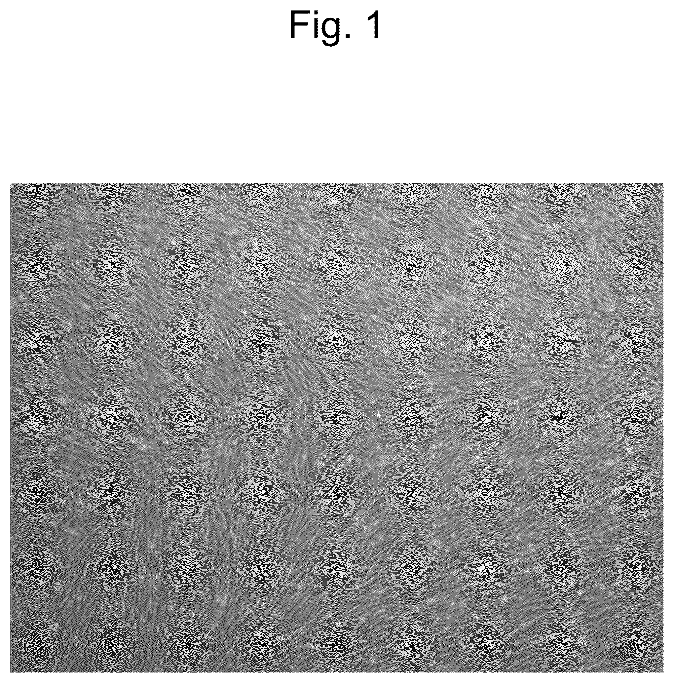 Patent US12564607 Figure 1 – Cell population comprising mesenchymal cells, pharmaceutical composition comprising the same, and method for producing the same