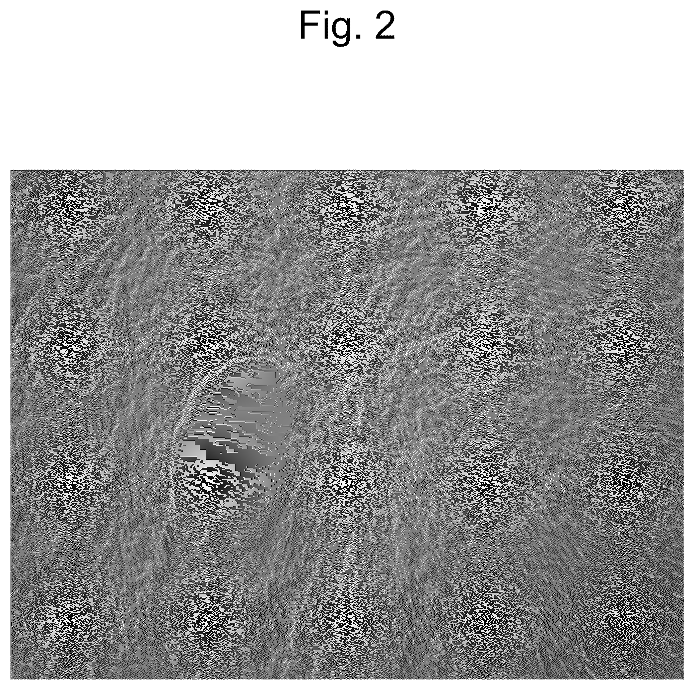 Patent US12564607 Figure 2 – Cell population comprising mesenchymal cells, pharmaceutical composition comprising the same, and method for producing the same